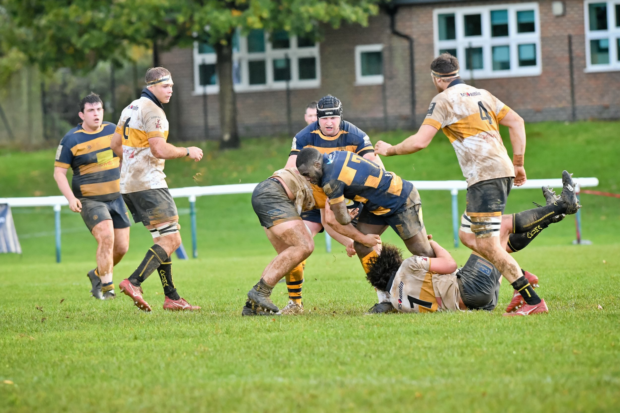 SEV V ESHER-23.JPG