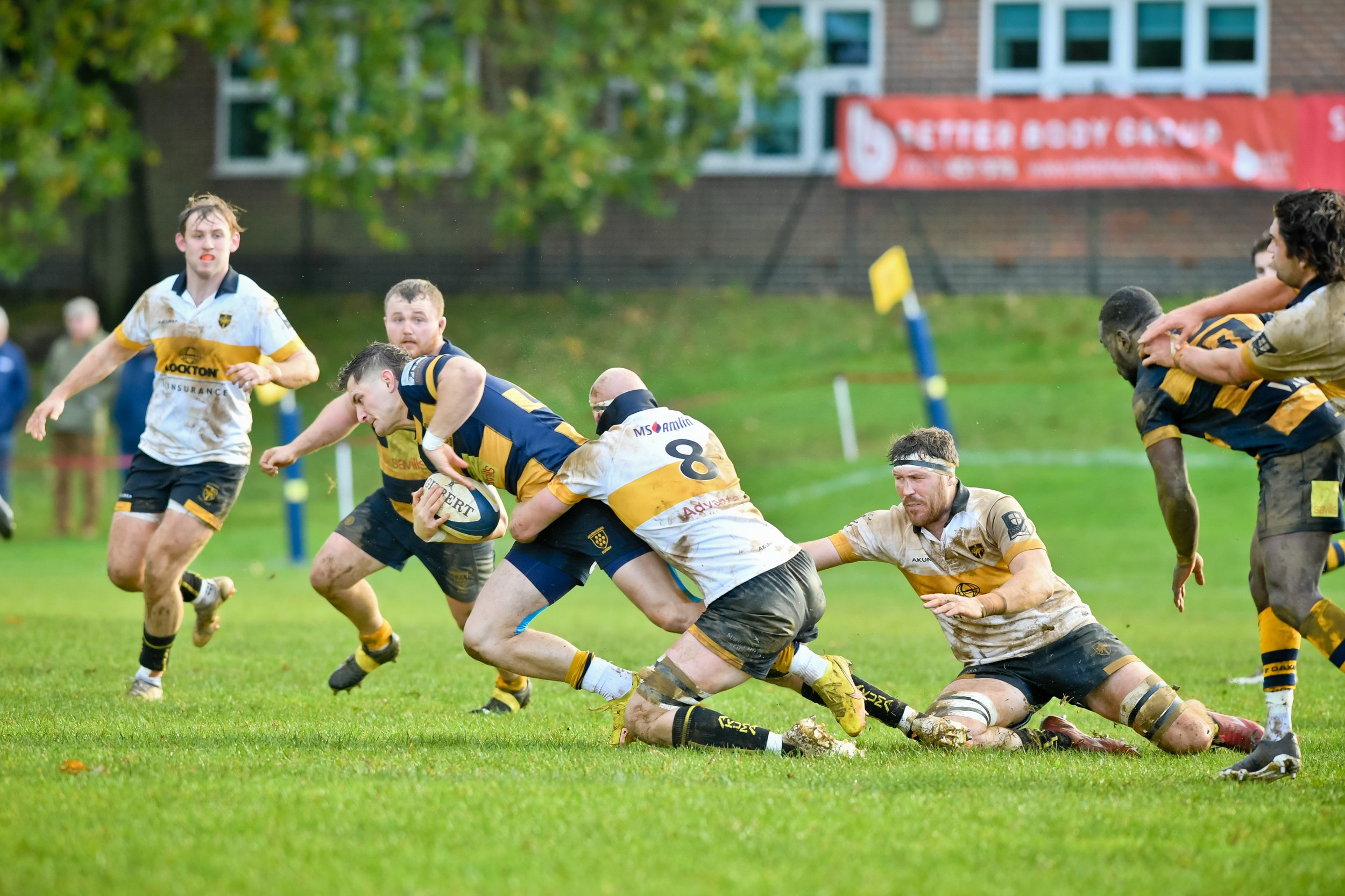 SEV V ESHER-30.JPG