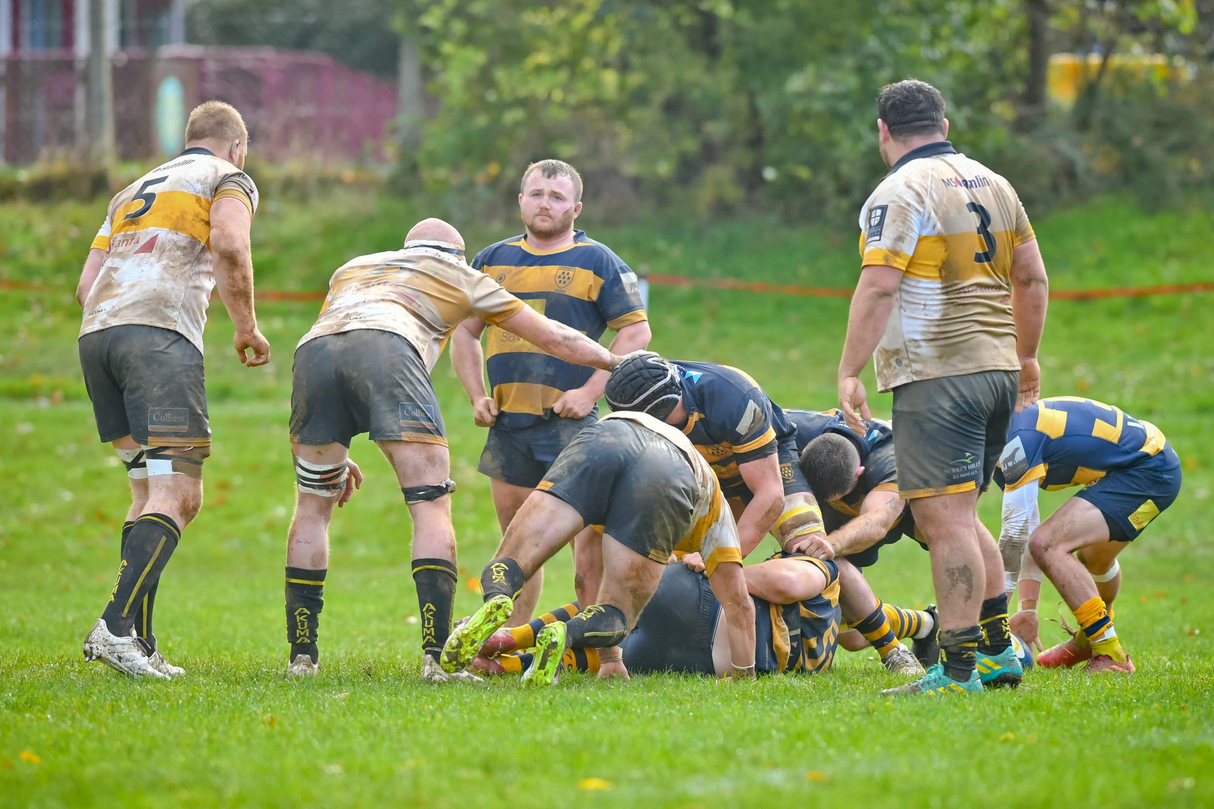 SEV V ESHER-34.JPG