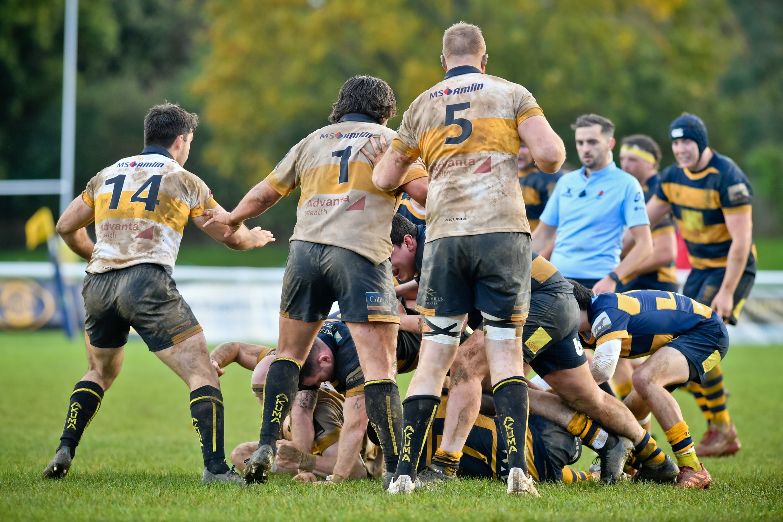 SEV V ESHER-57.JPG