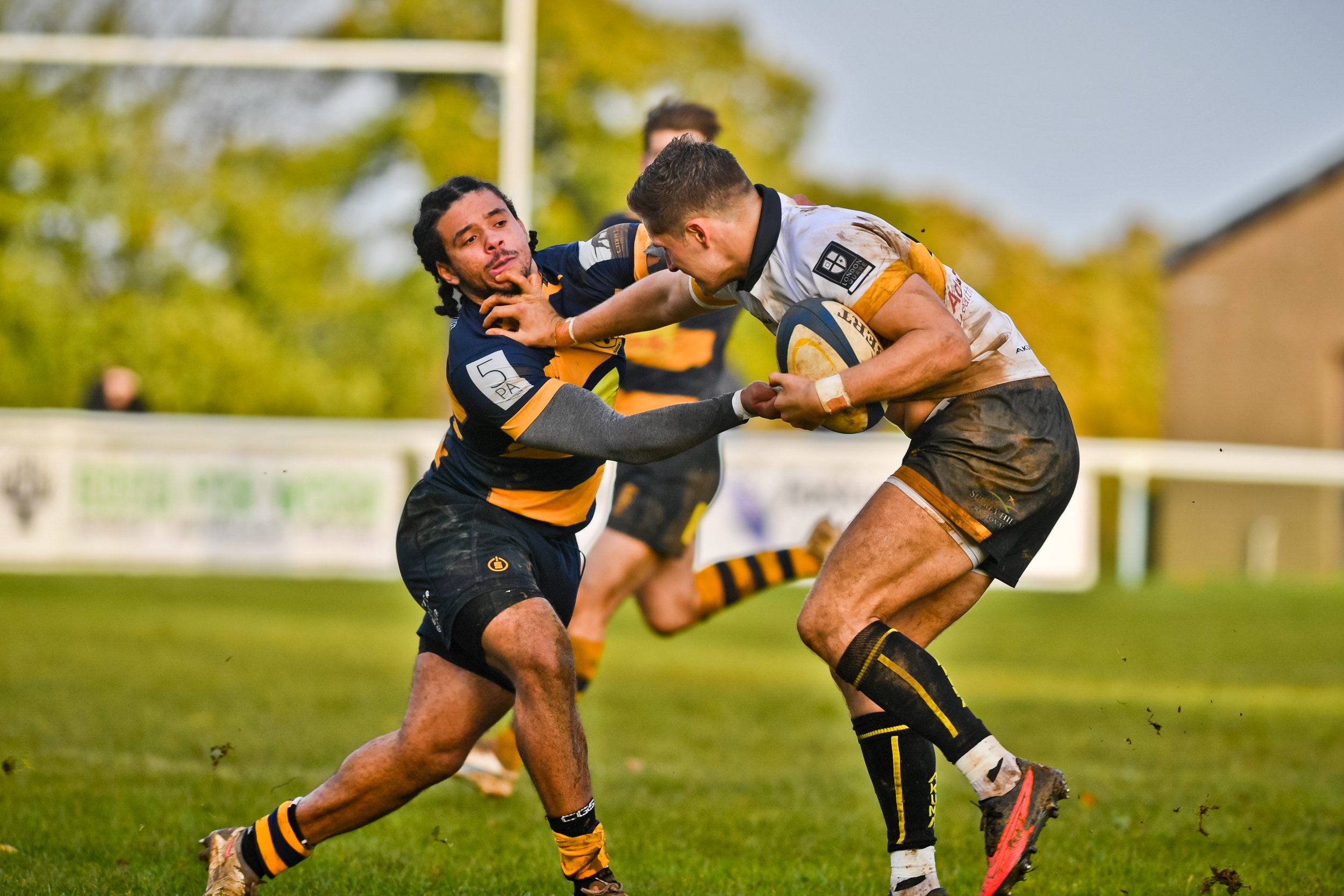 SEV V ESHER-60.JPG