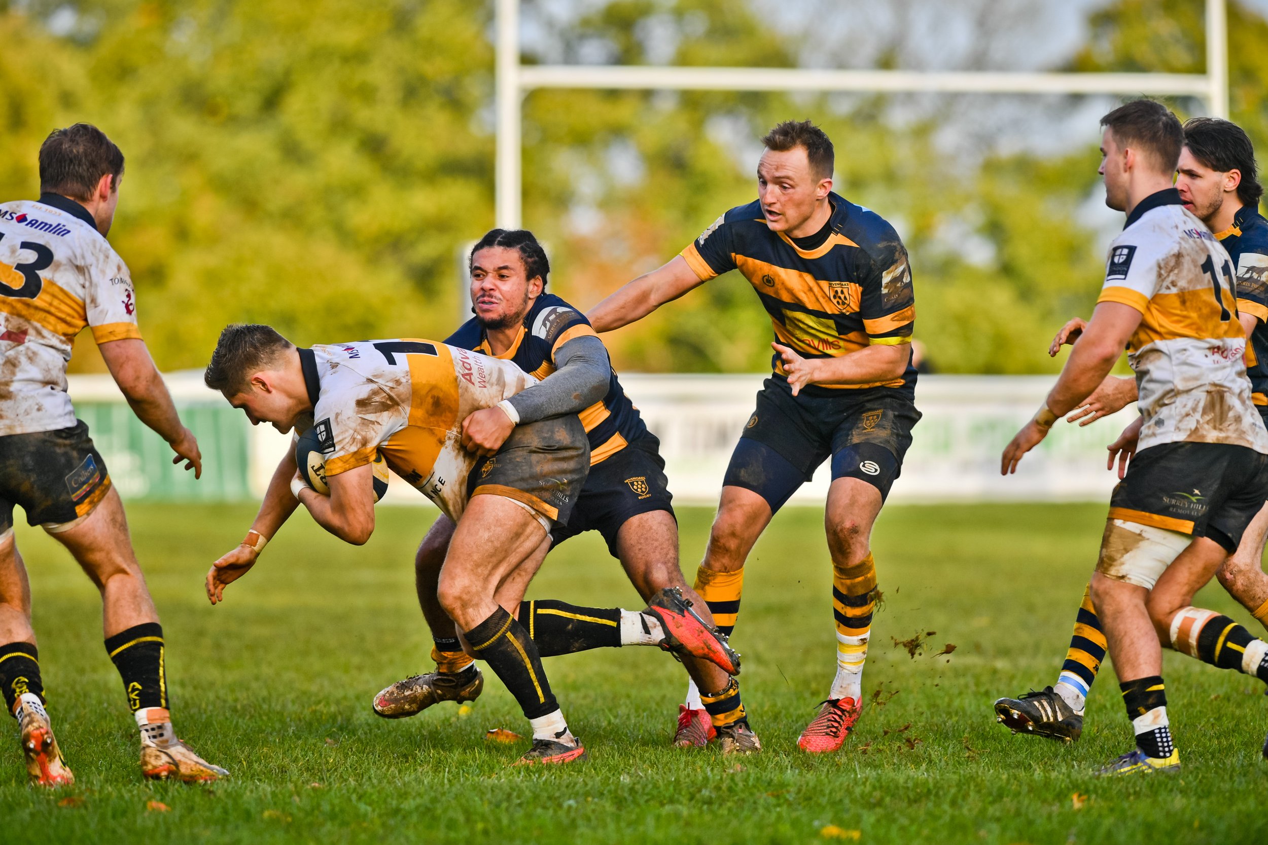 SEV V ESHER-61.JPG