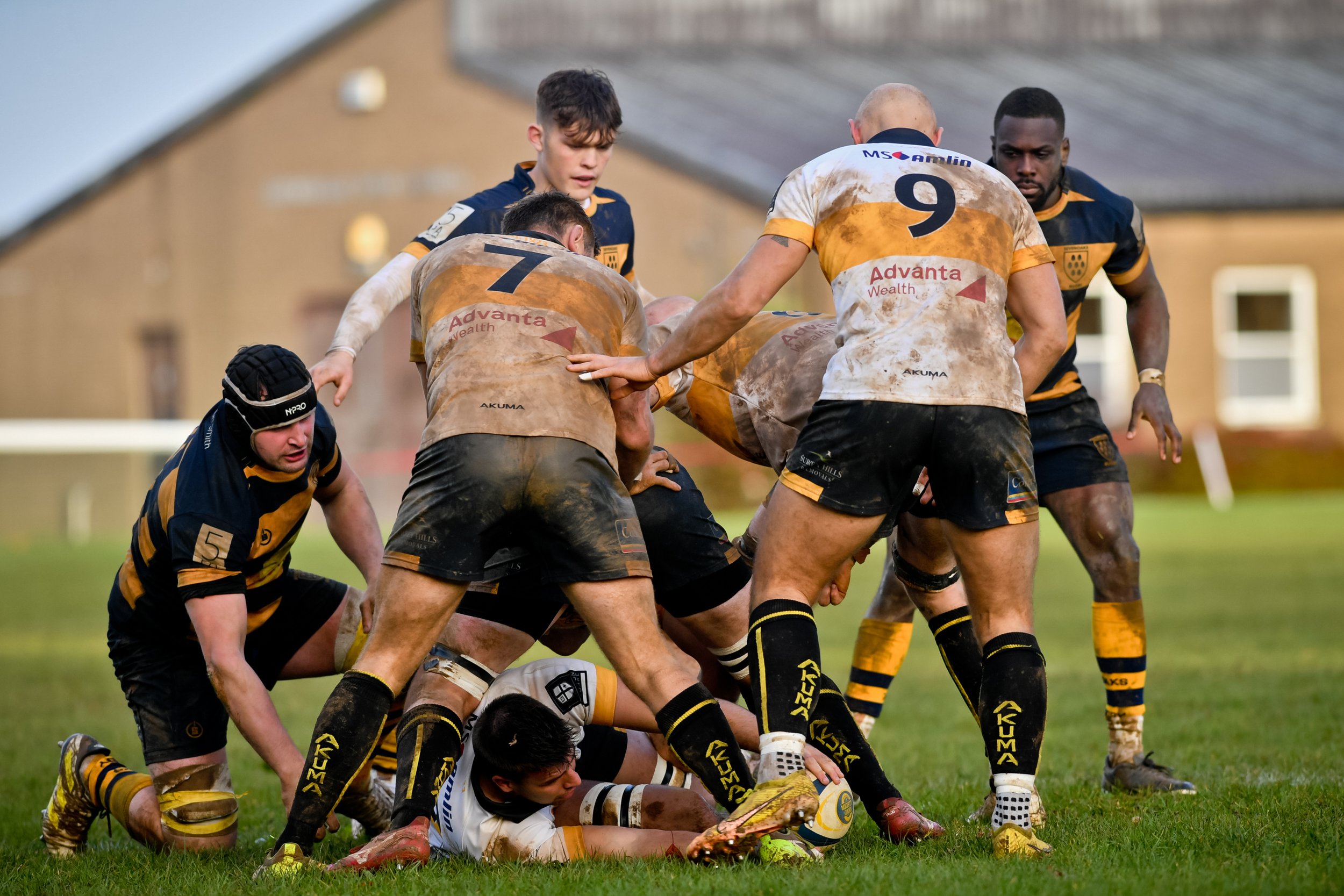 SEV V ESHER-64.JPG