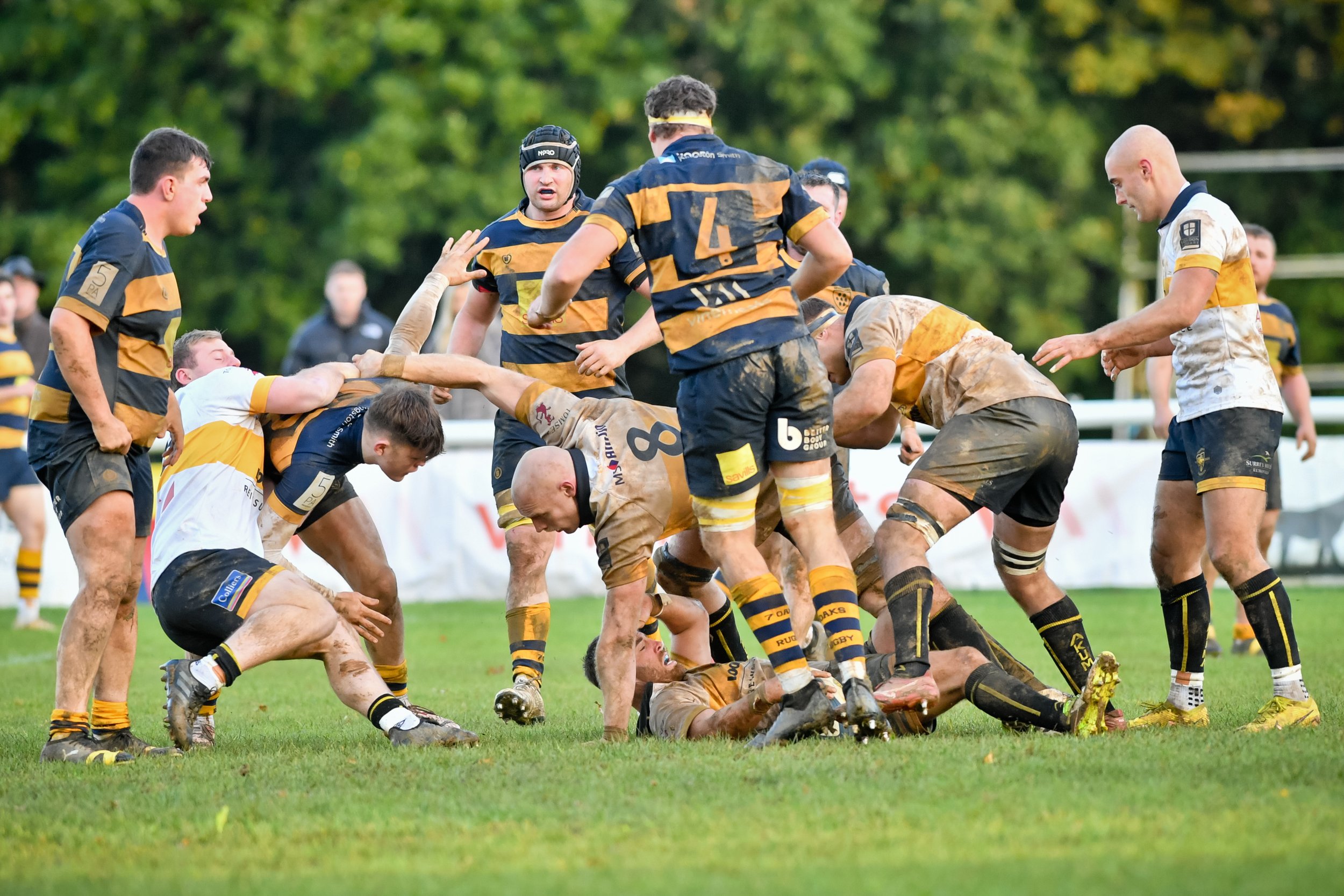 SEV V ESHER-65.JPG