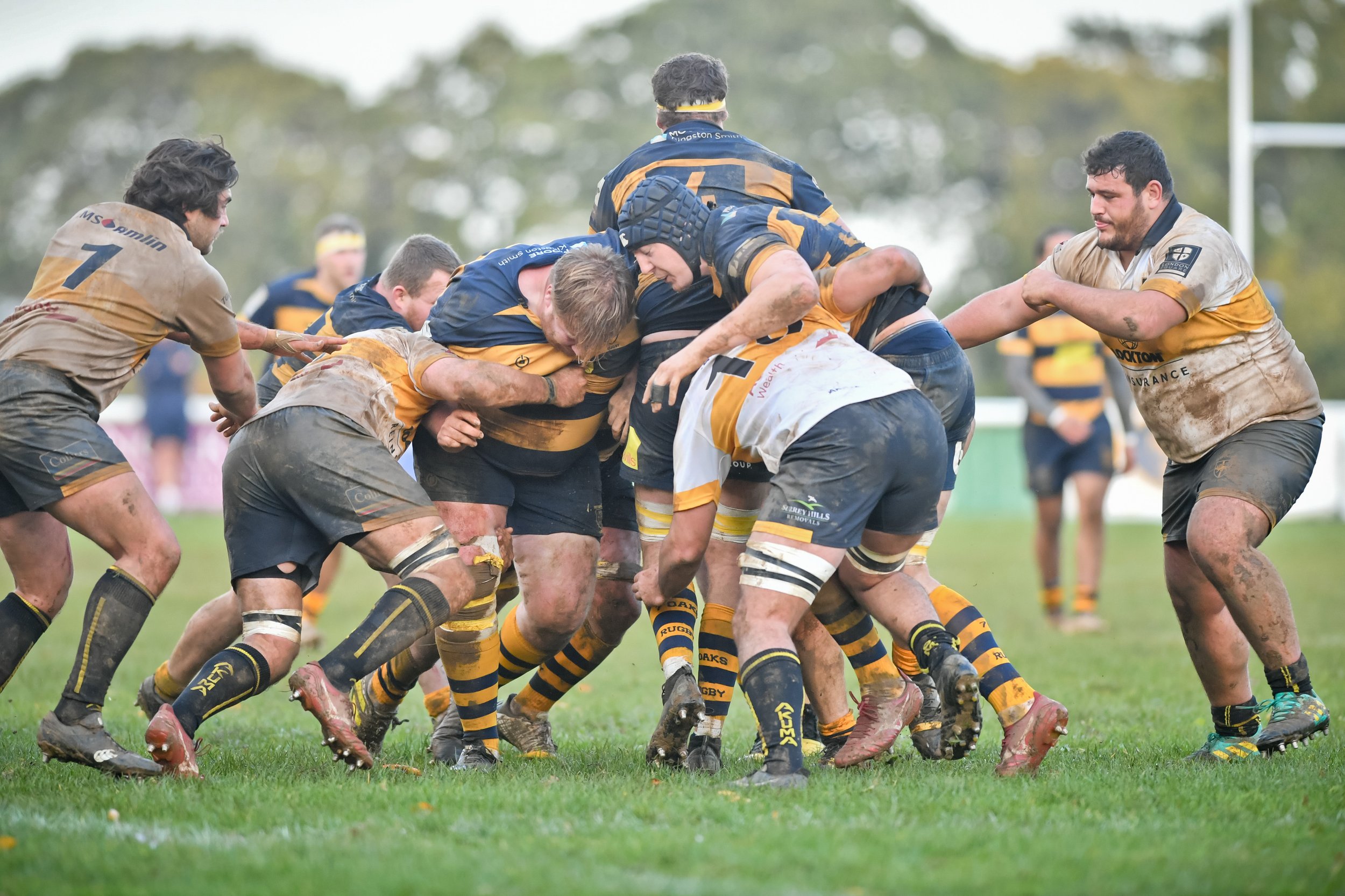 SEV V ESHER-74.JPG