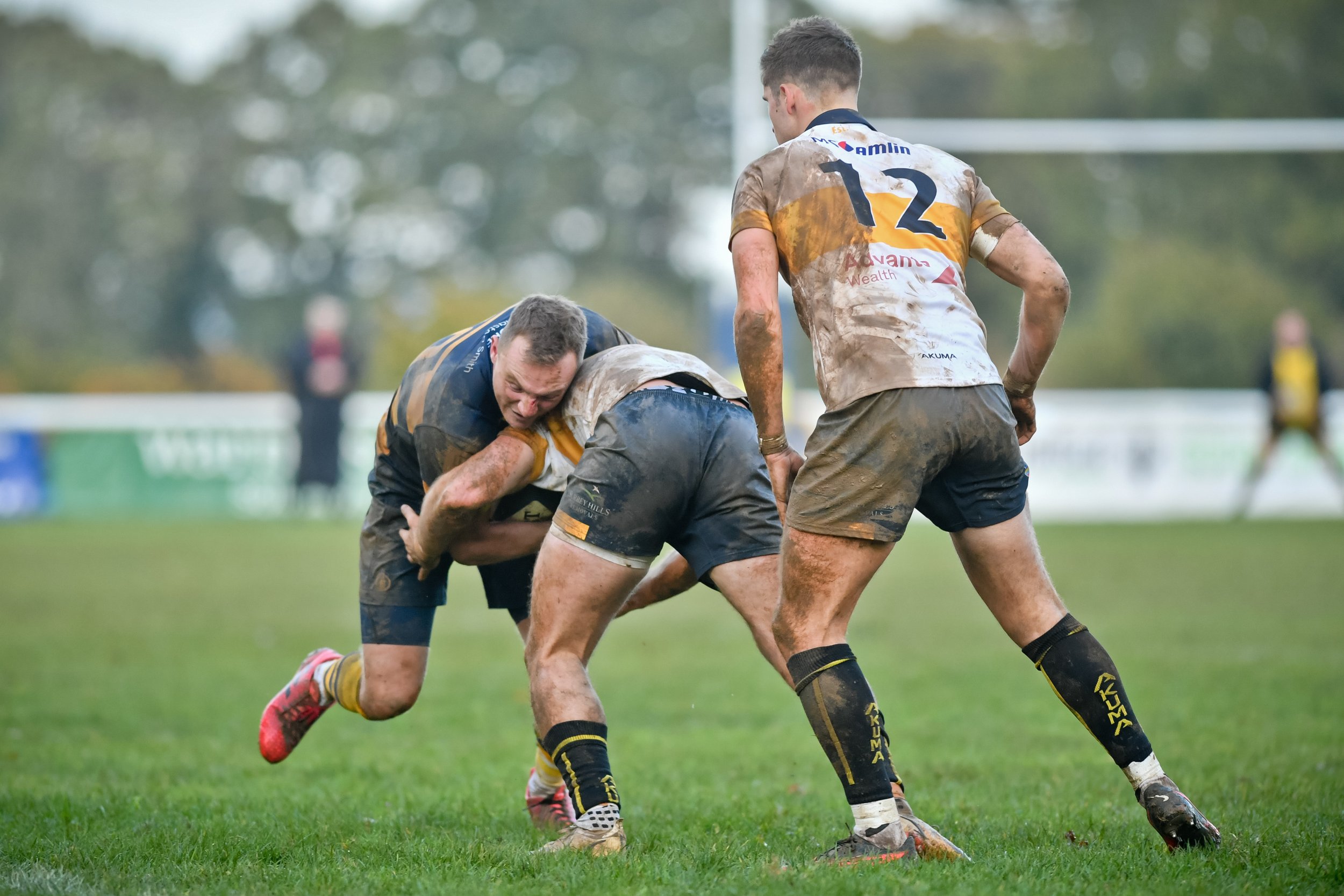 SEV V ESHER-80.JPG