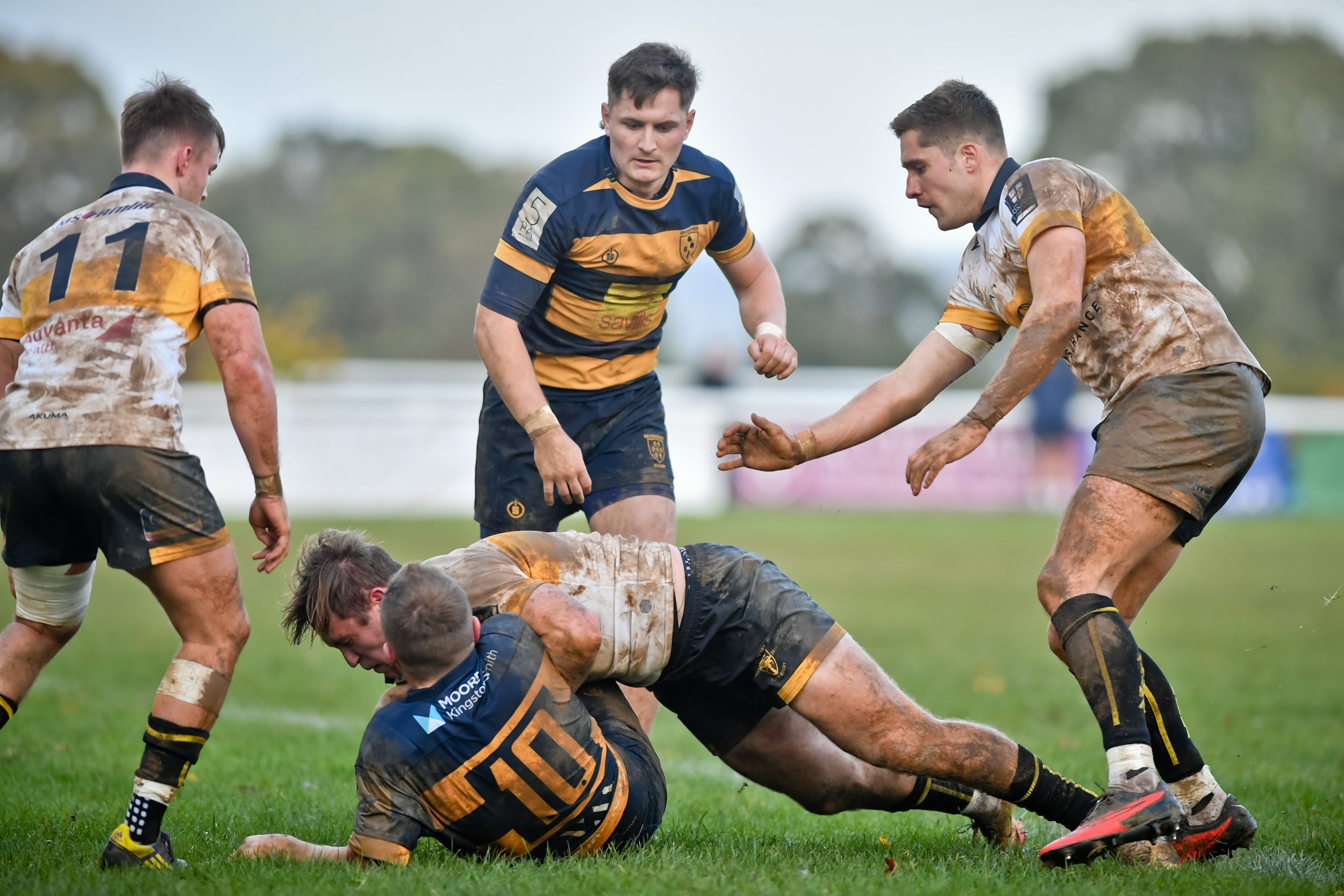 SEV V ESHER-81.JPG