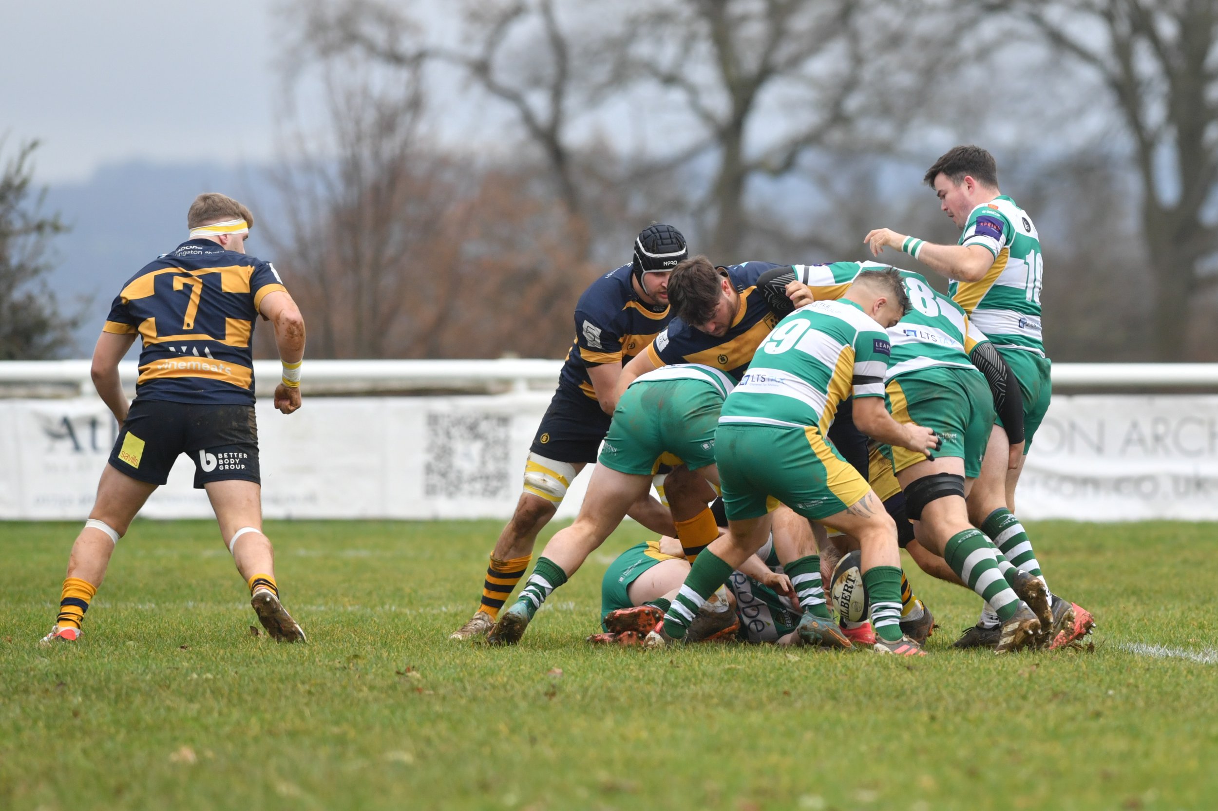 SEV V GUERNSEY-2.JPG