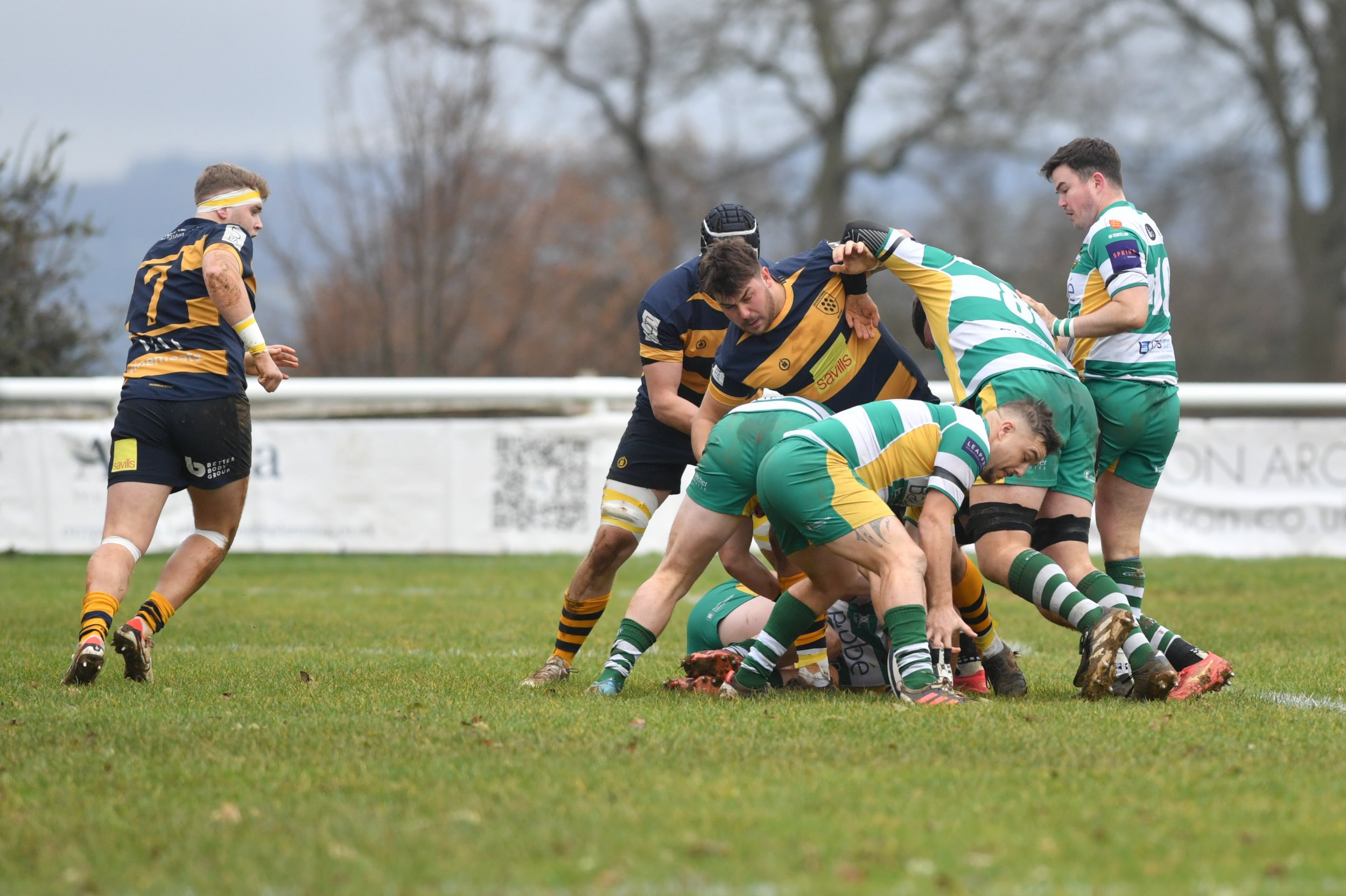 SEV V GUERNSEY-3.JPG