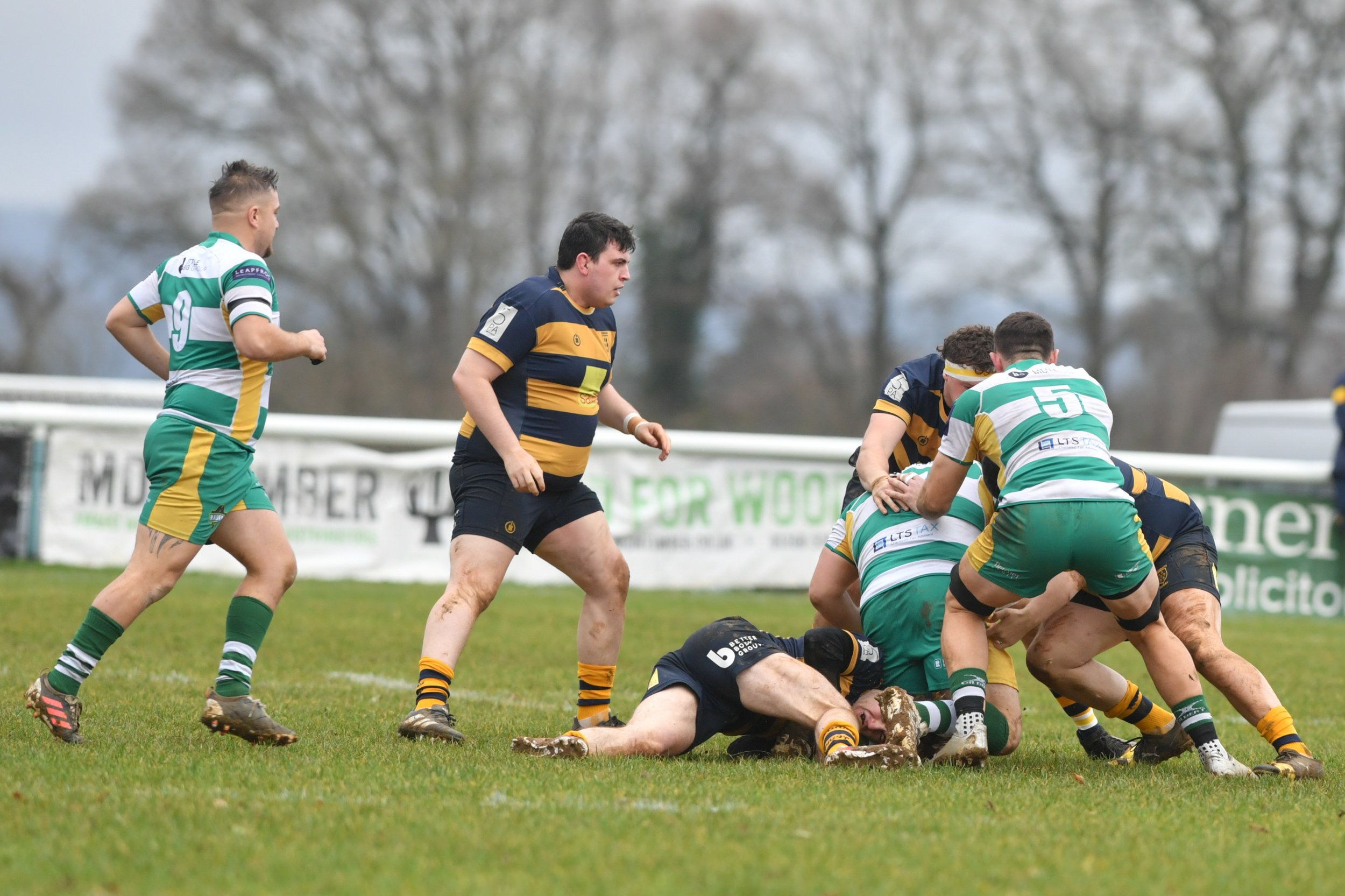 SEV V GUERNSEY-4.JPG