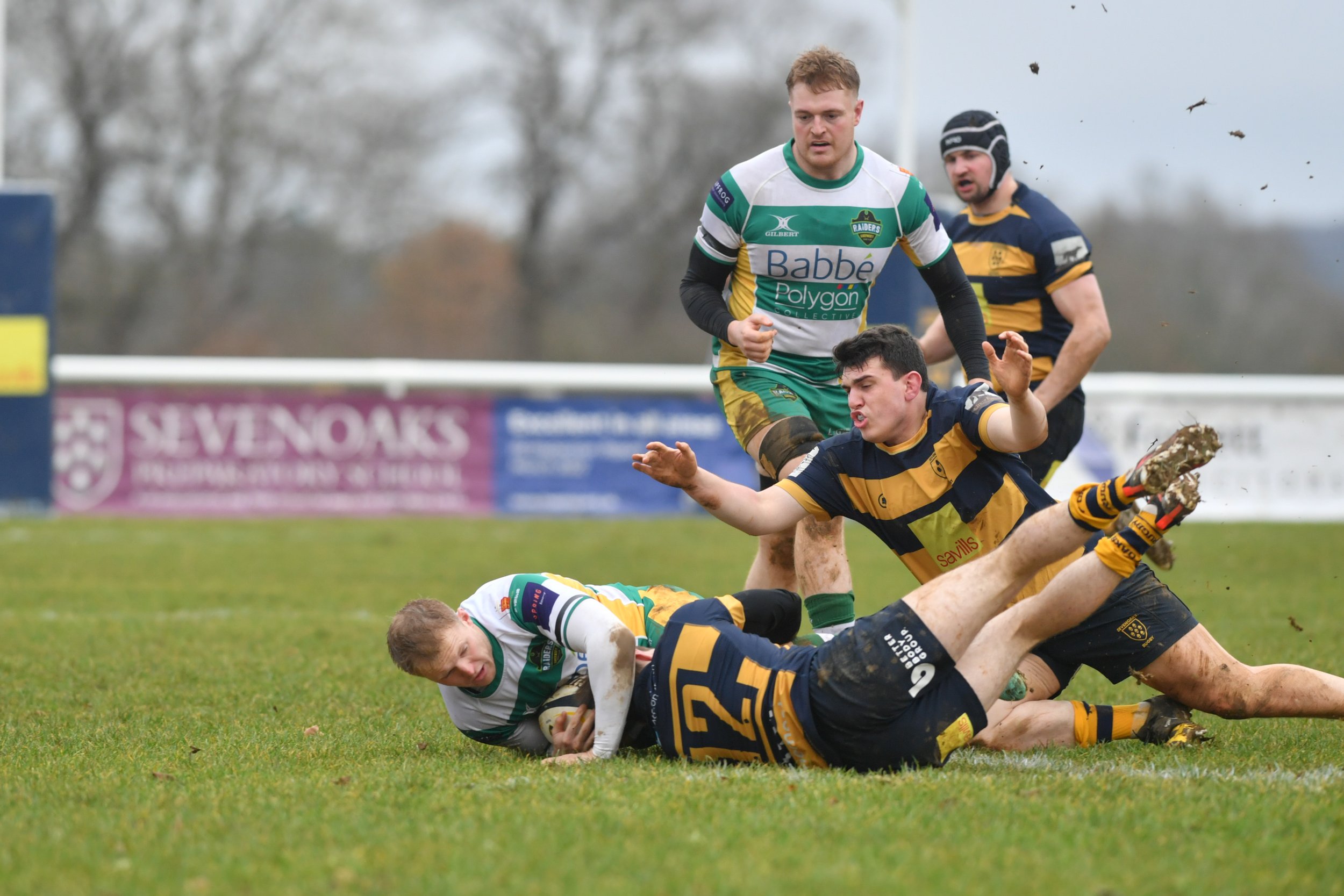 SEV V GUERNSEY-5.JPG