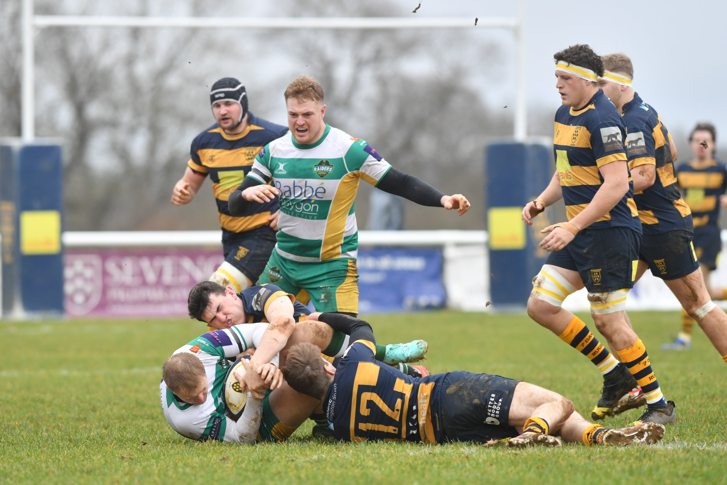 SEV V GUERNSEY-7.JPG