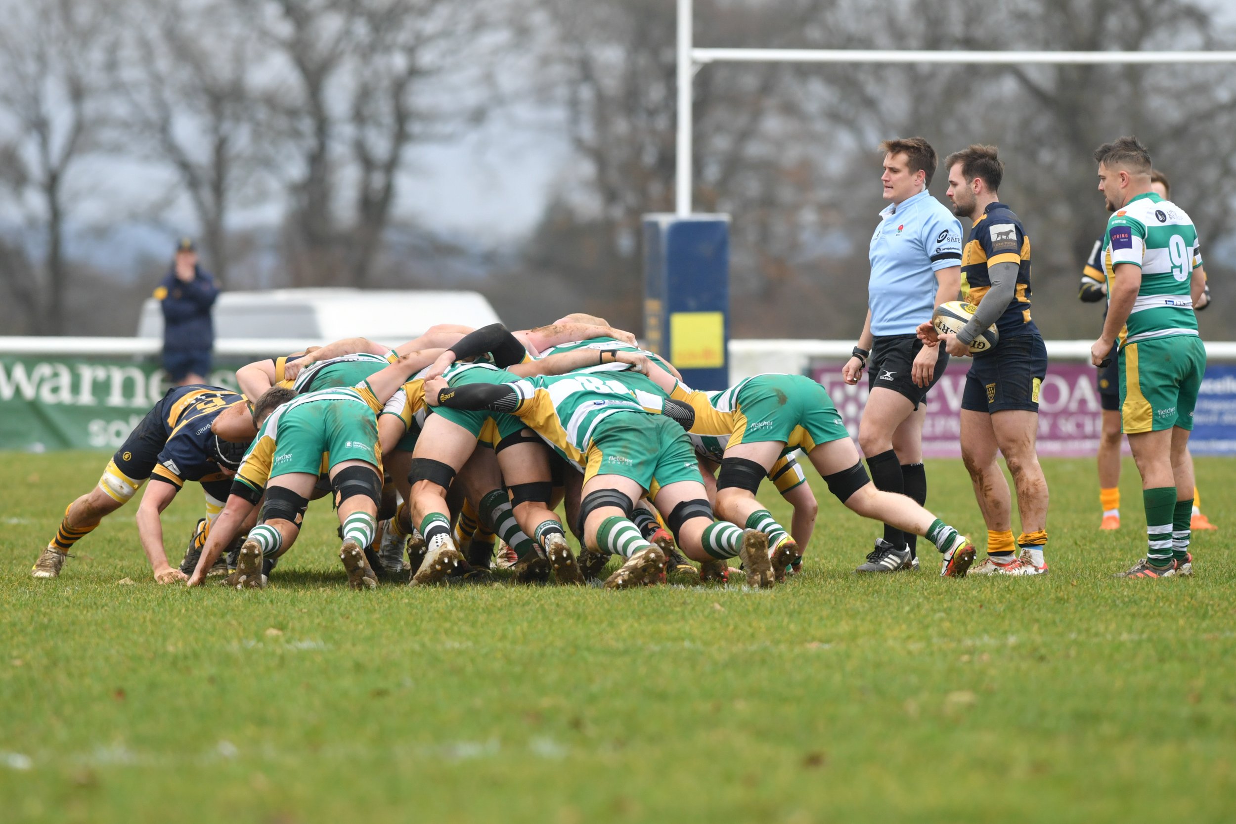 SEV V GUERNSEY-9.JPG