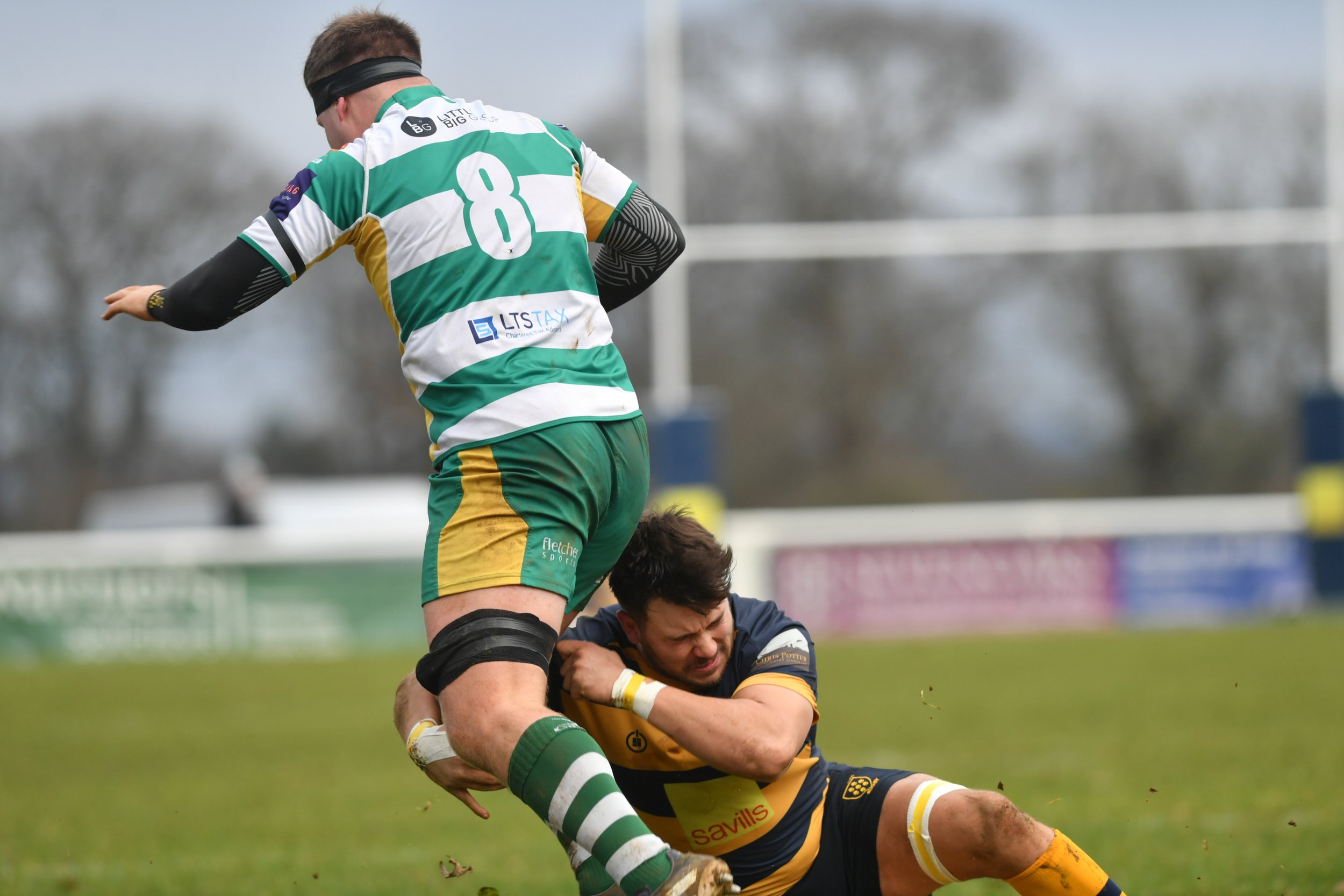 SEV V GUERNSEY-10.JPG