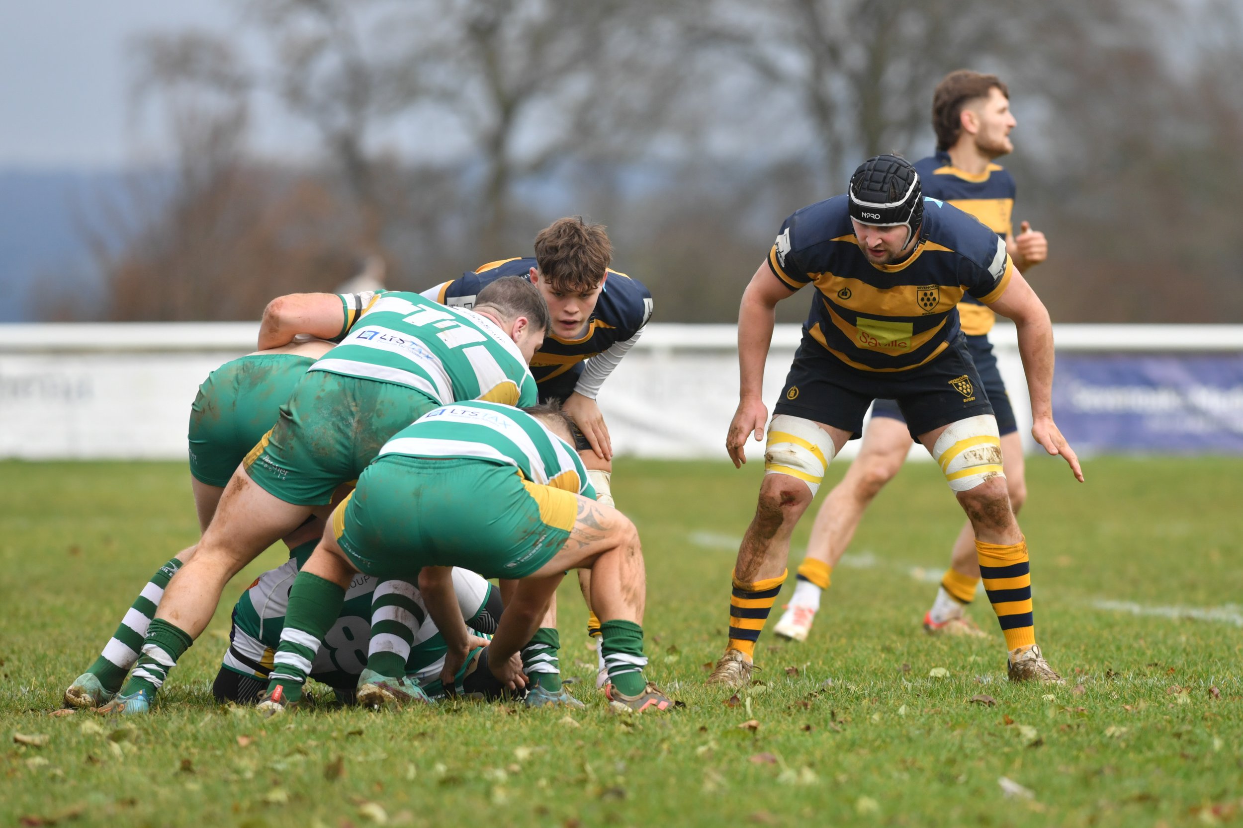 SEV V GUERNSEY-11.JPG