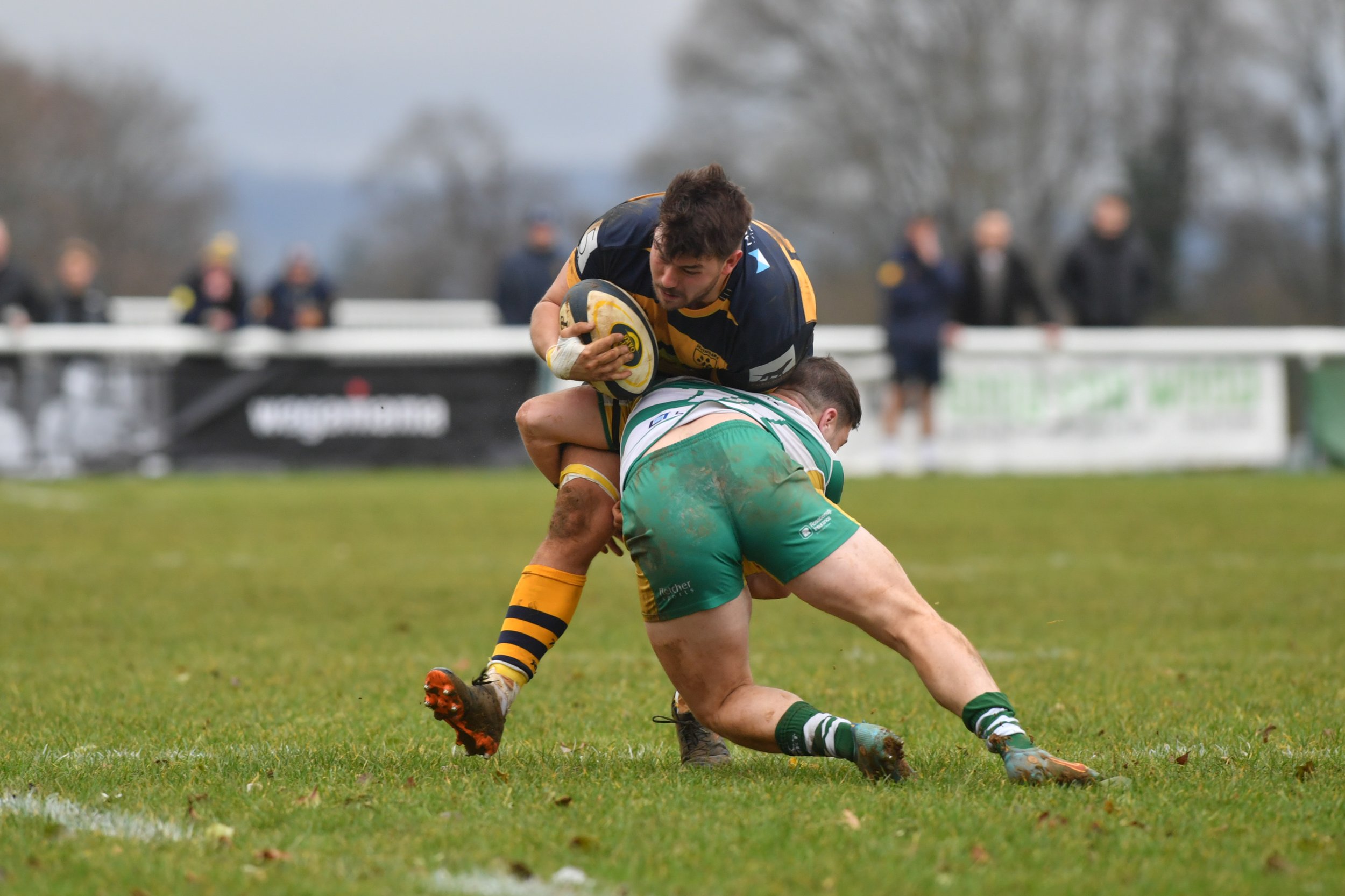 SEV V GUERNSEY-16.JPG