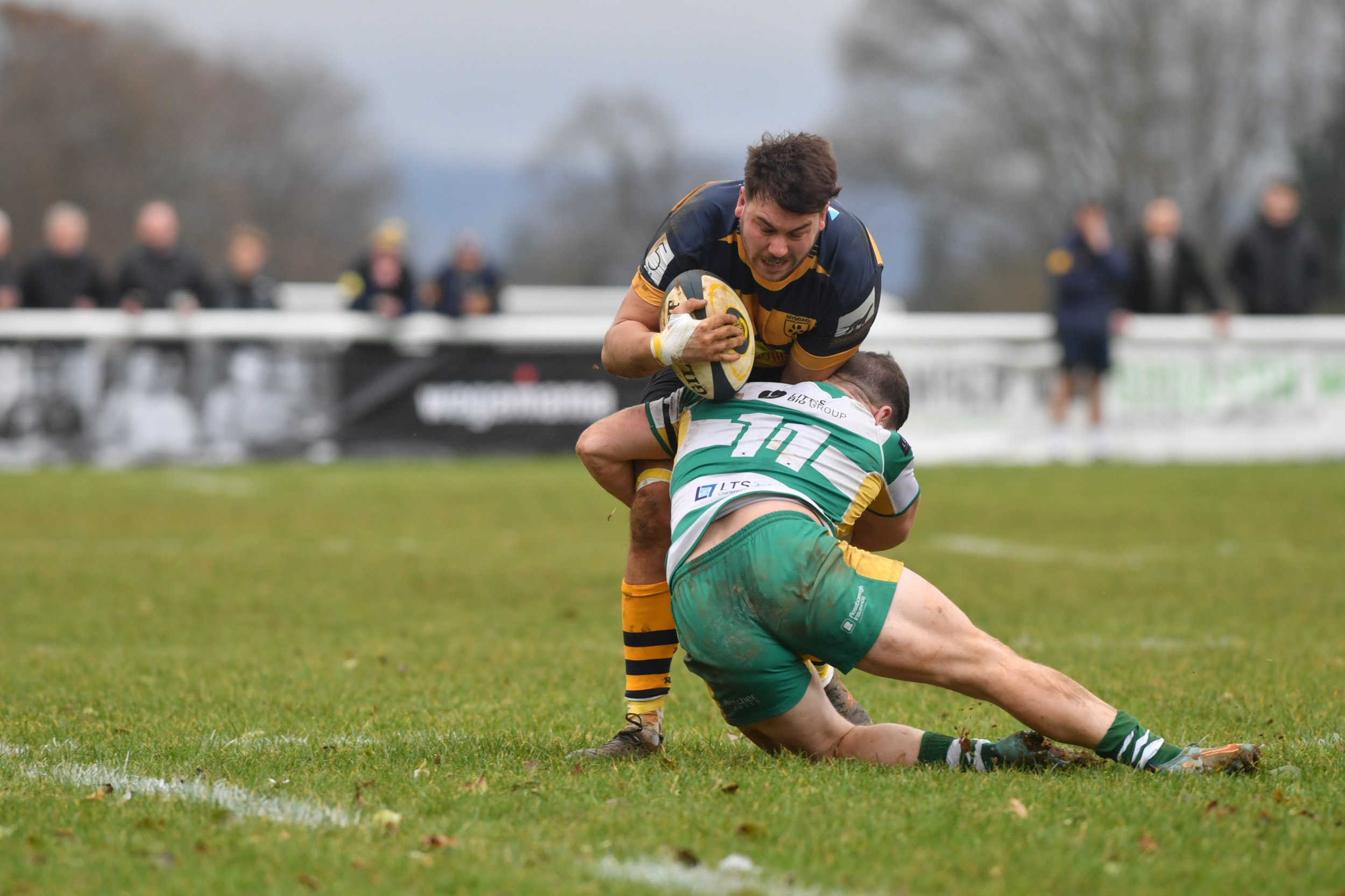 SEV V GUERNSEY-17.JPG