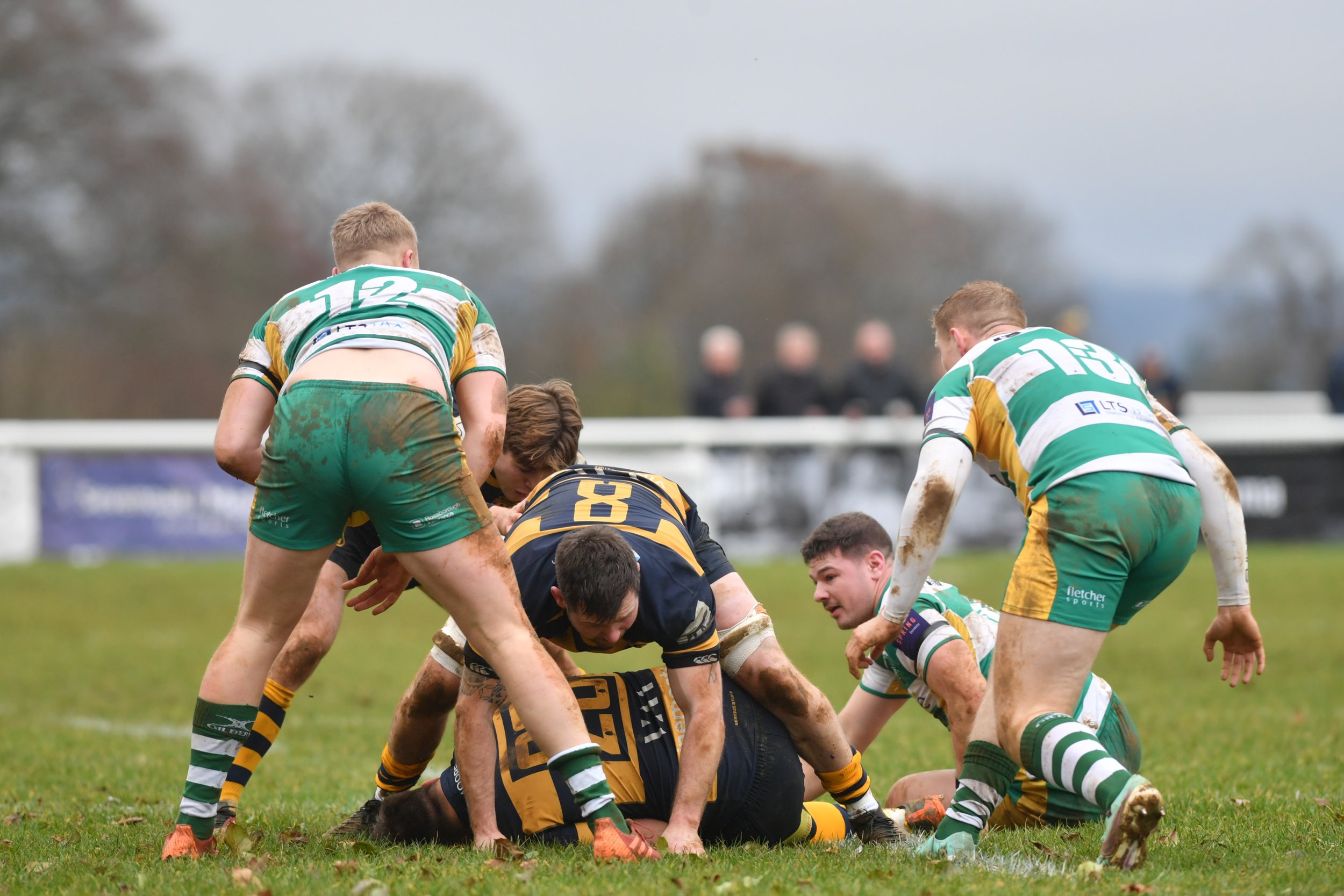 SEV V GUERNSEY-19.JPG