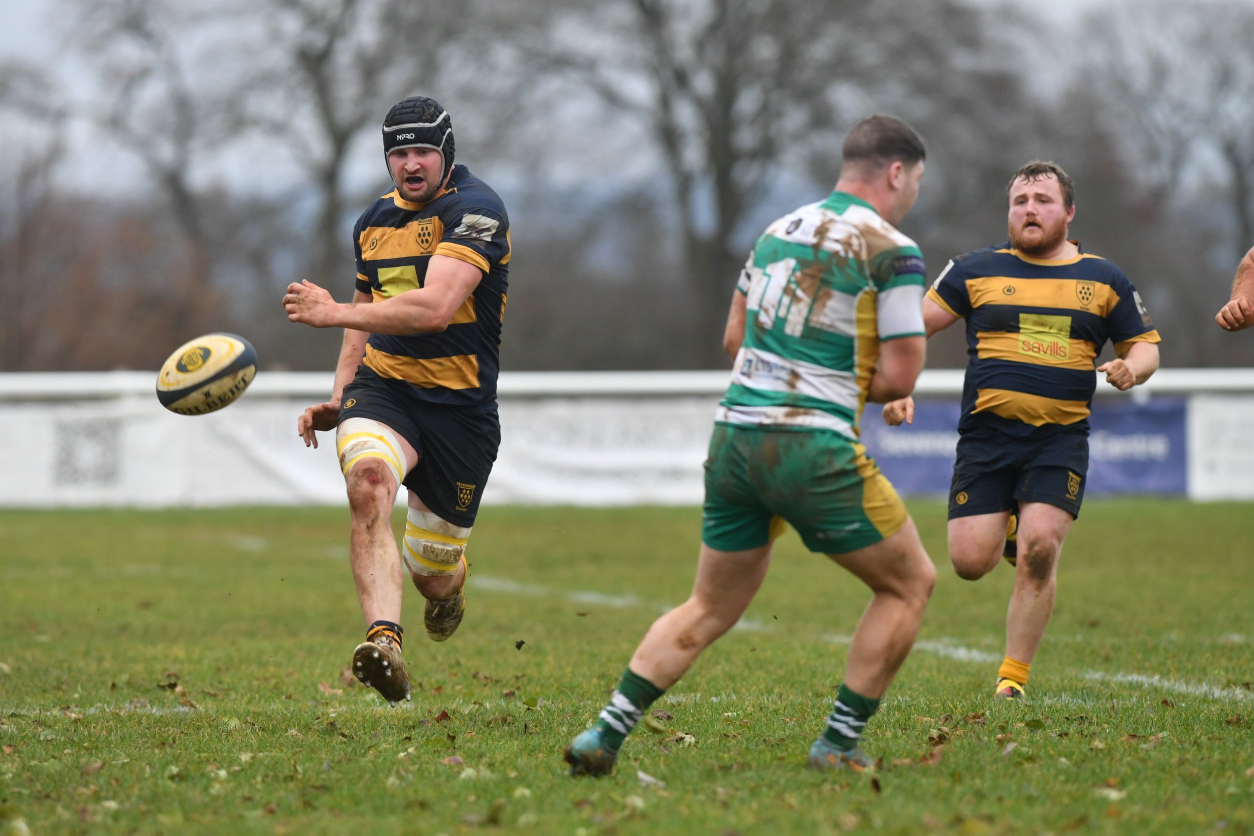 SEV V GUERNSEY-22.JPG