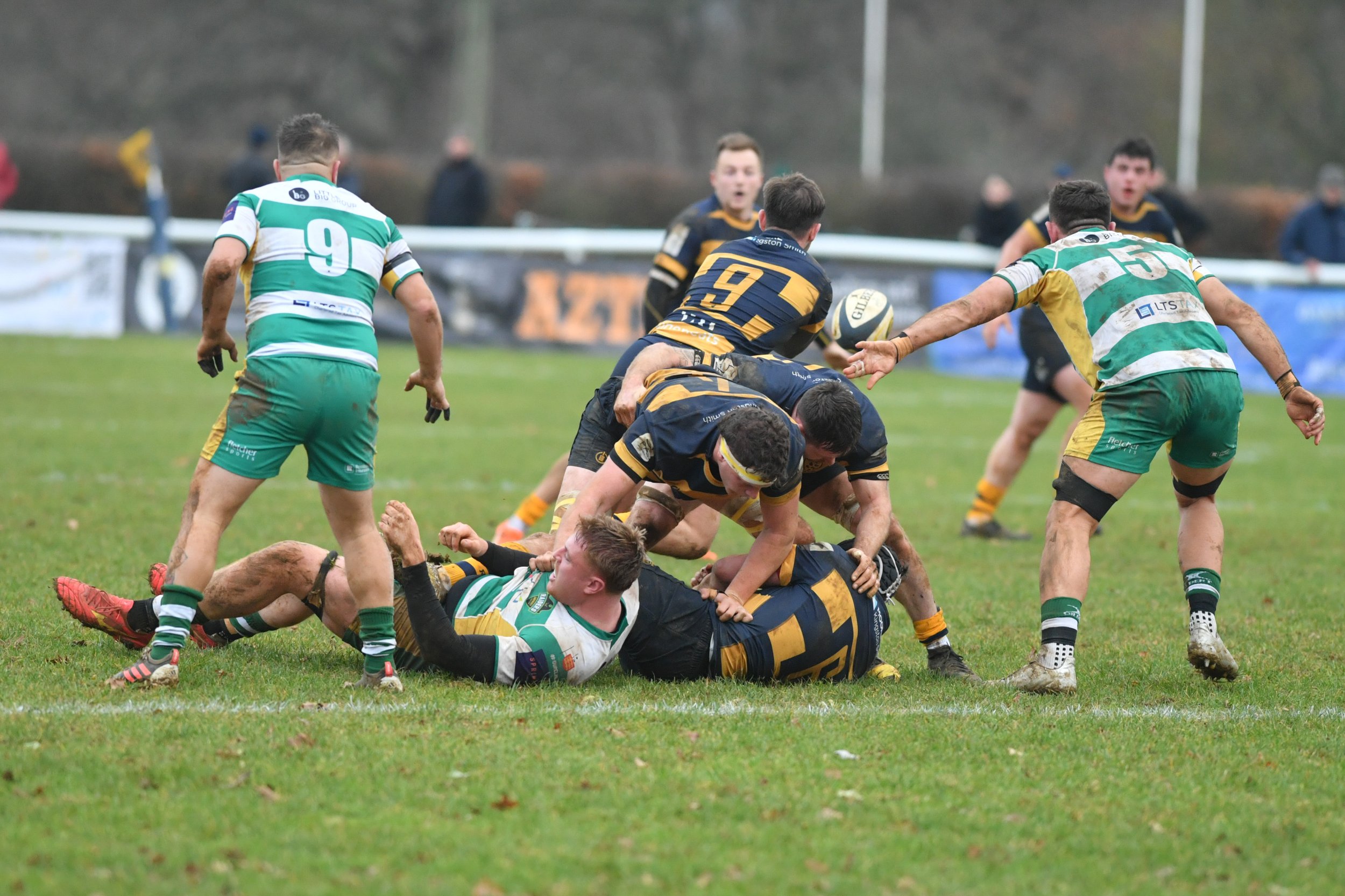 SEV V GUERNSEY-30.JPG