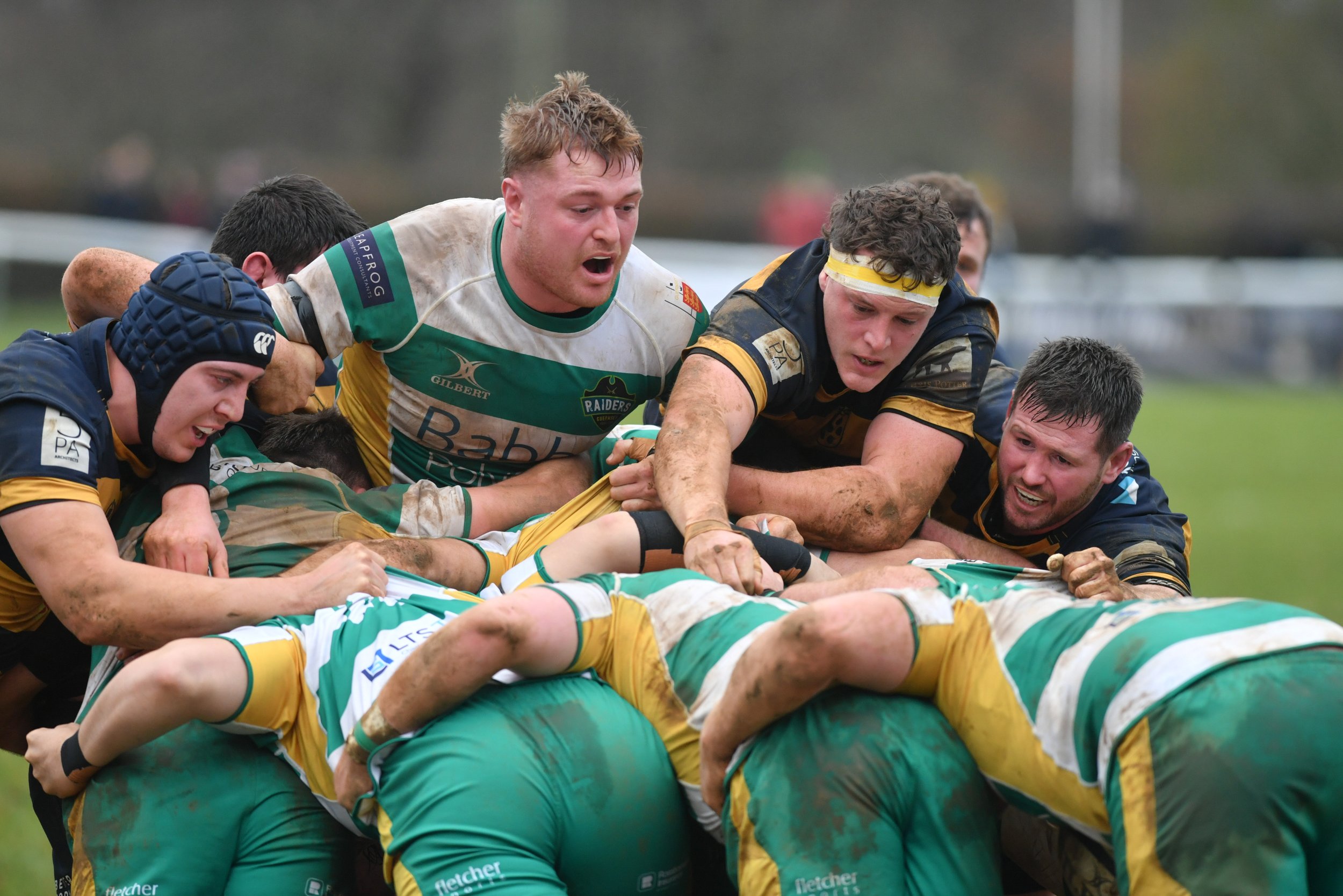 SEV V GUERNSEY-37.JPG