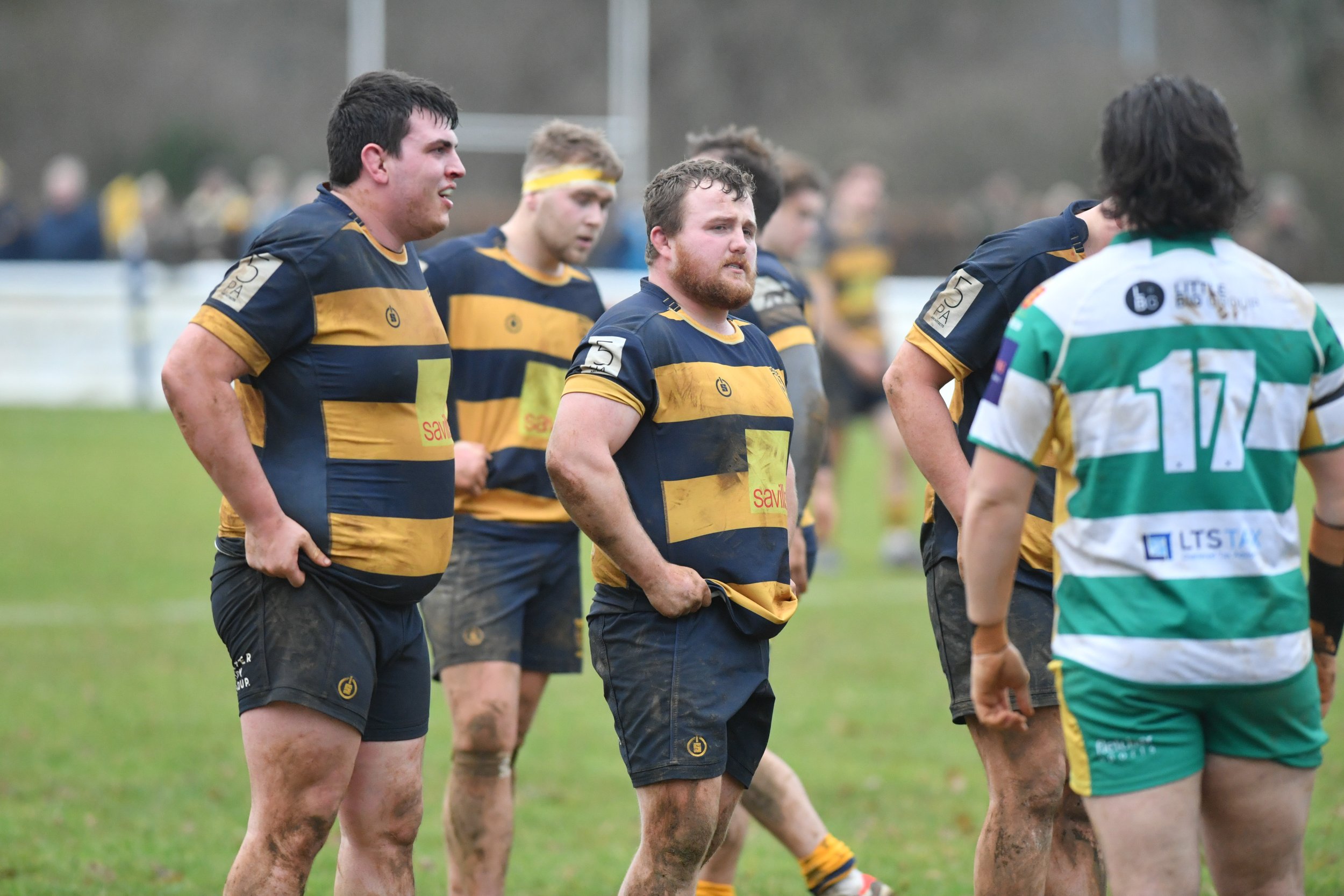 SEV V GUERNSEY-39.JPG