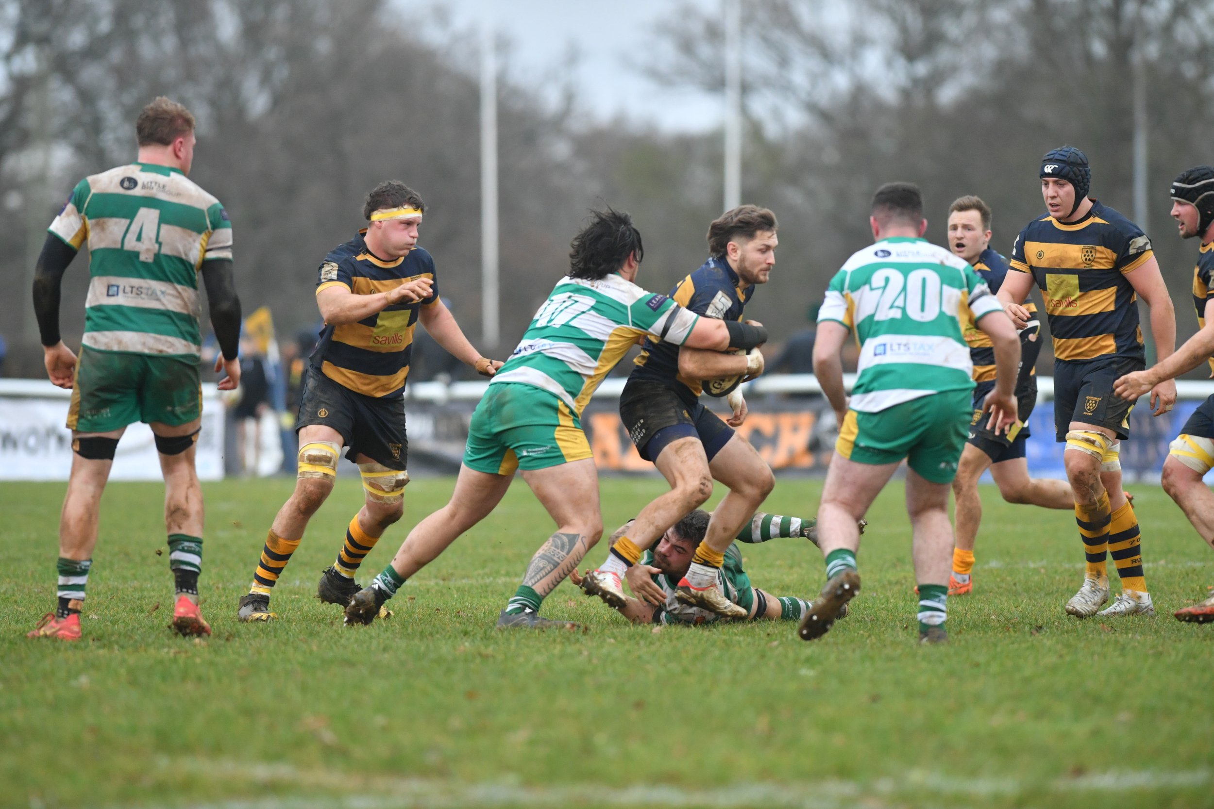 SEV V GUERNSEY-41.JPG