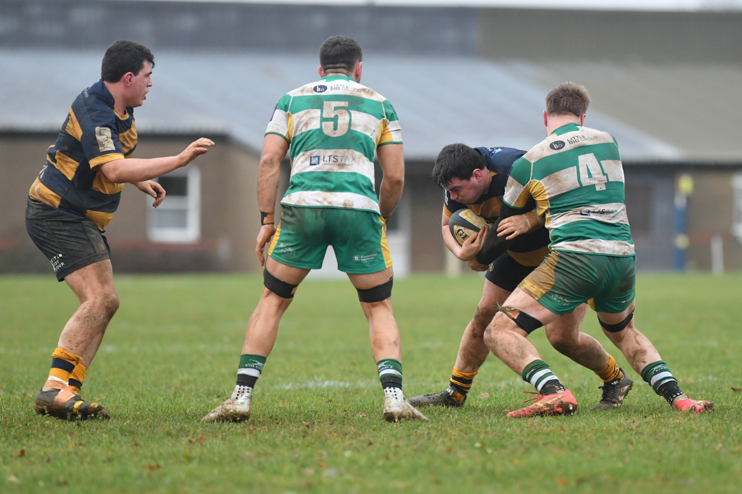 SEV V GUERNSEY-42.JPG