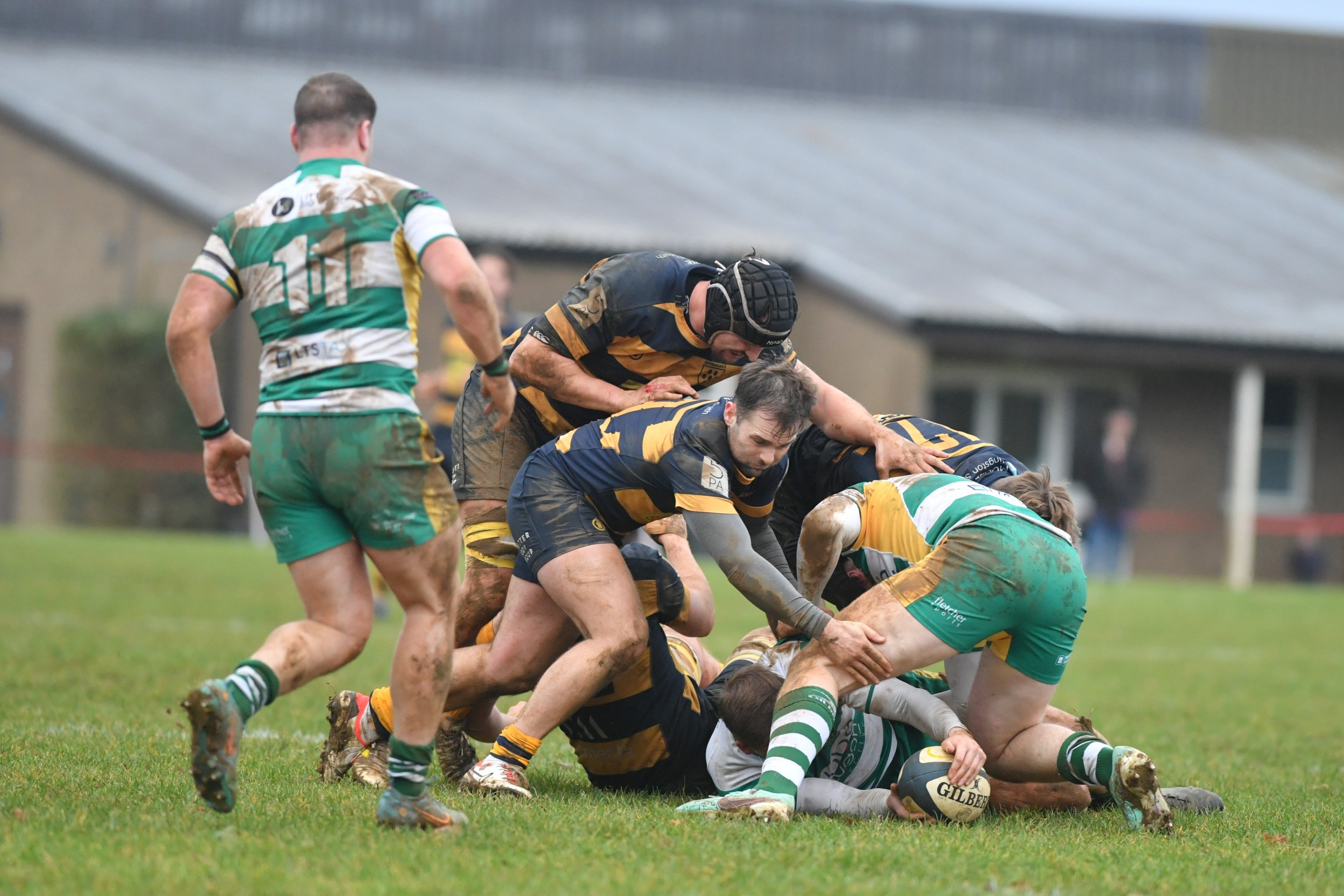 SEV V GUERNSEY-45.JPG