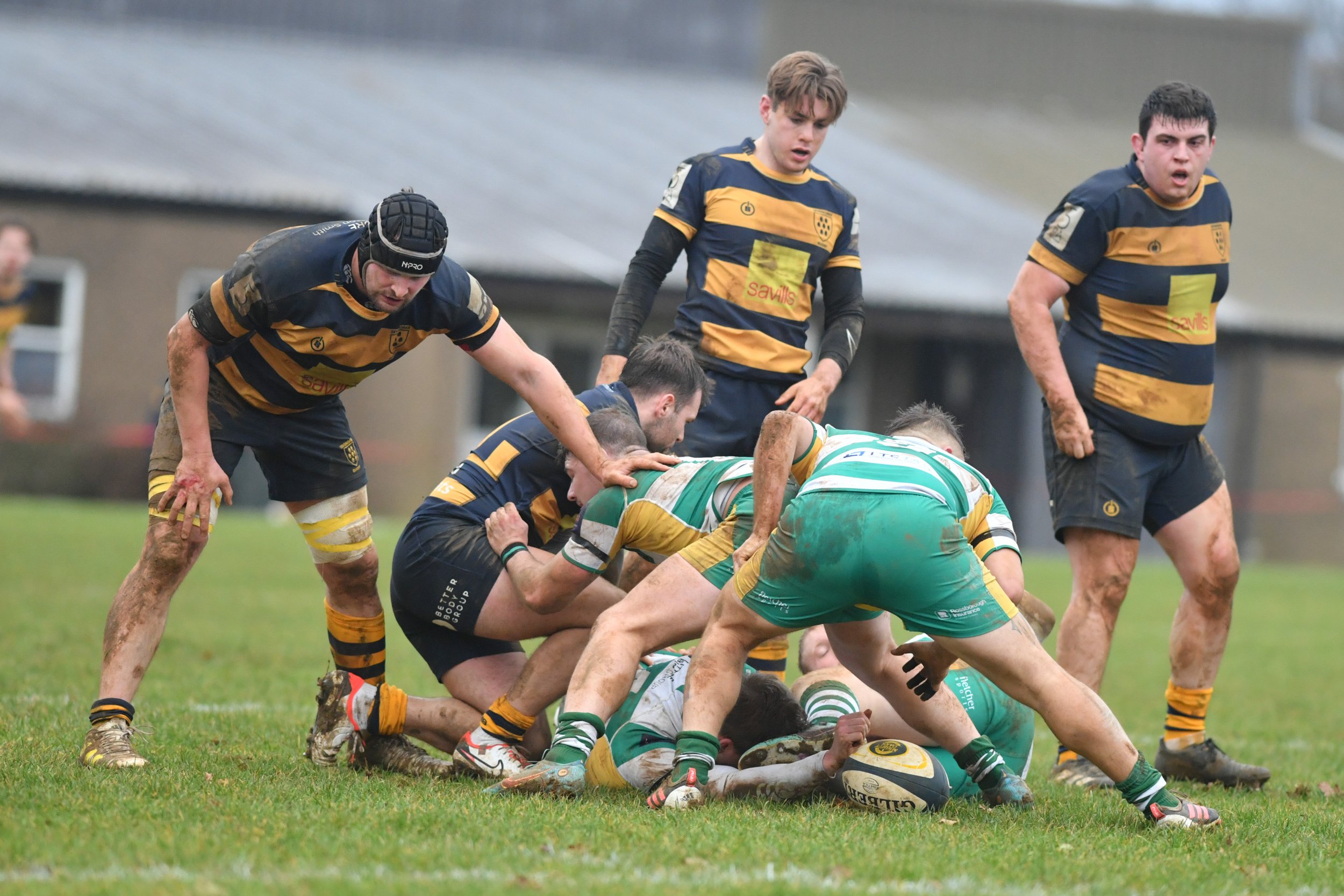 SEV V GUERNSEY-46.JPG