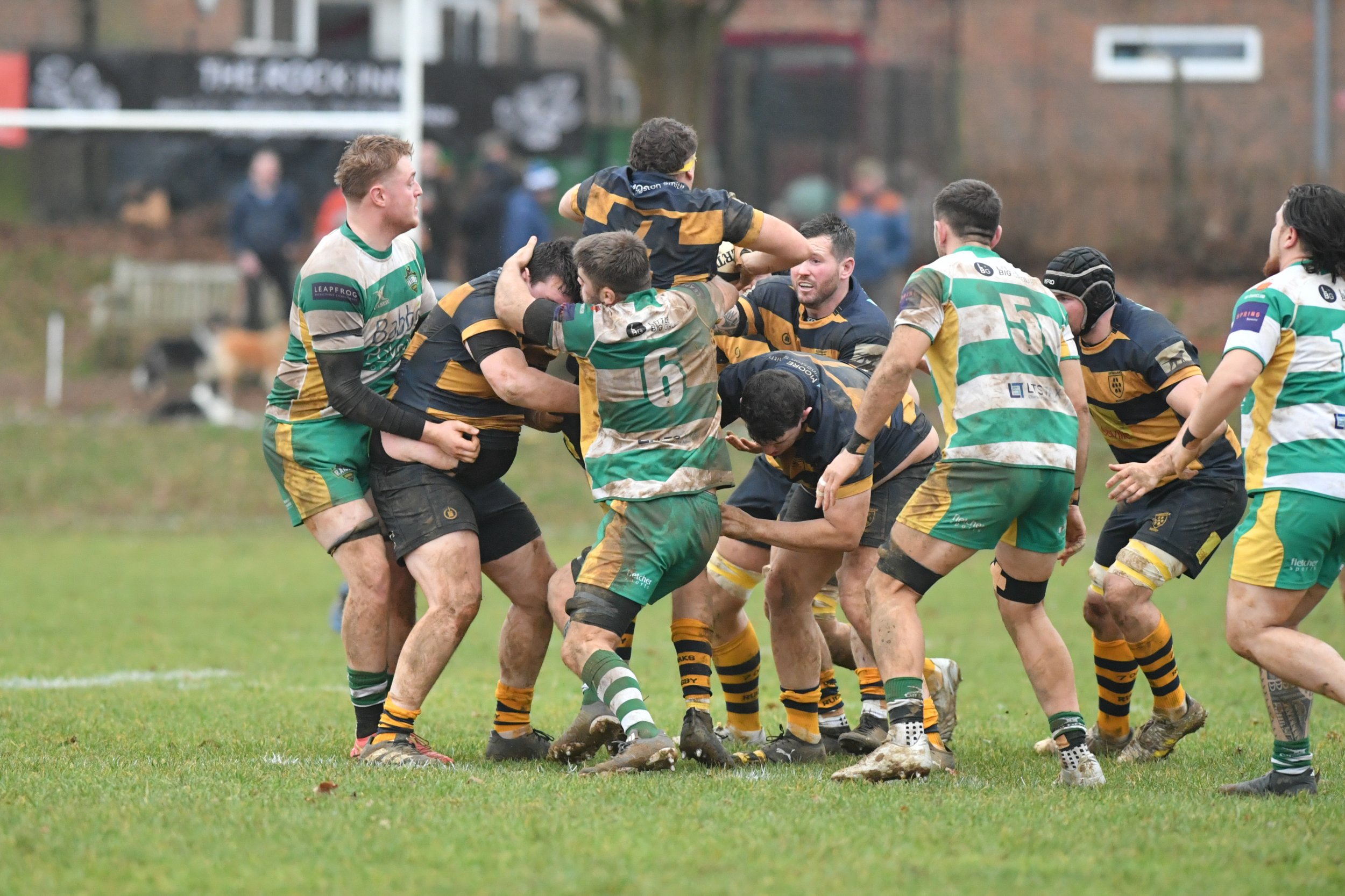 SEV V GUERNSEY-47.JPG