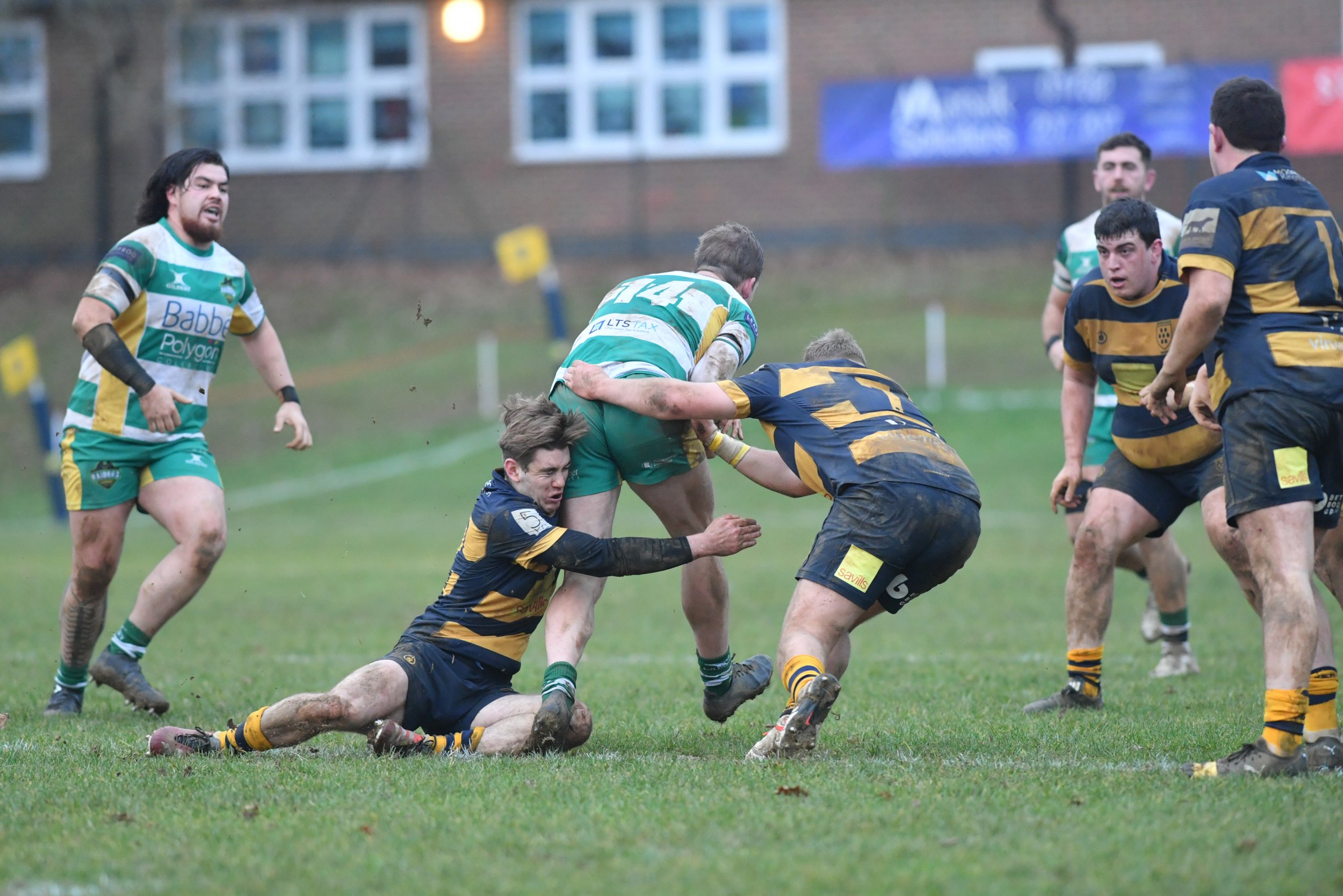 SEV V GUERNSEY-49.JPG