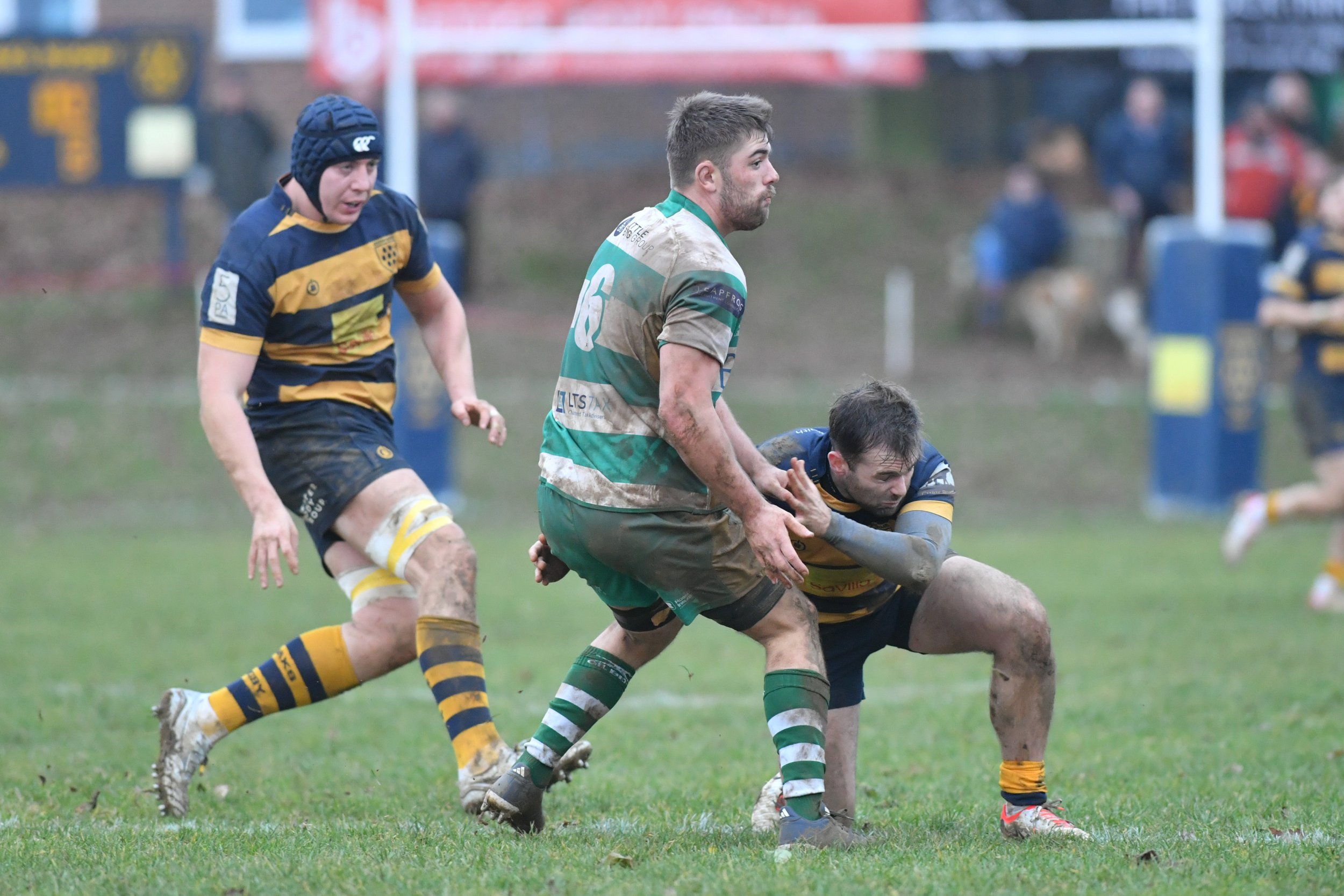 SEV V GUERNSEY-53.JPG