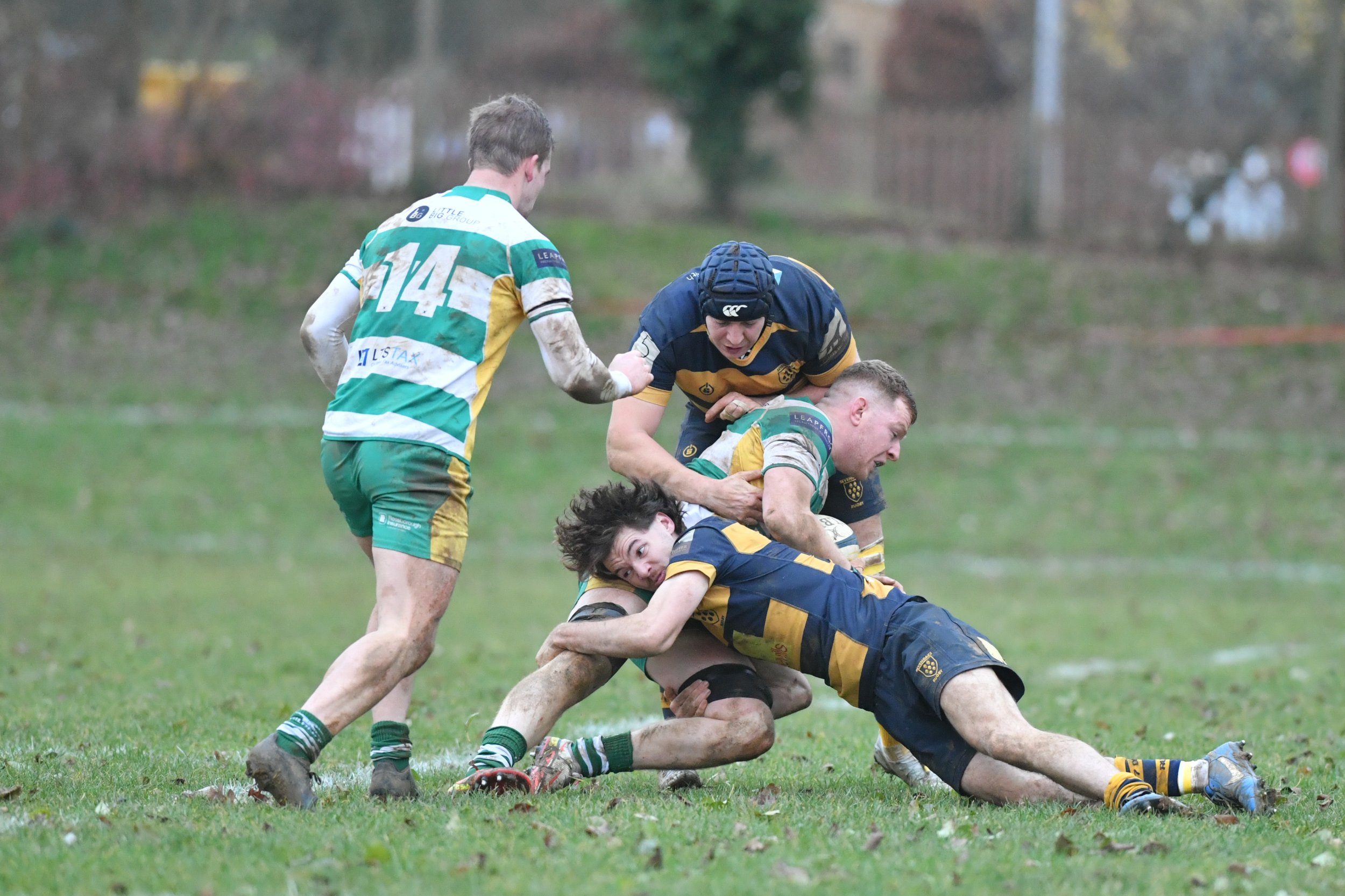 SEV V GUERNSEY-55.JPG