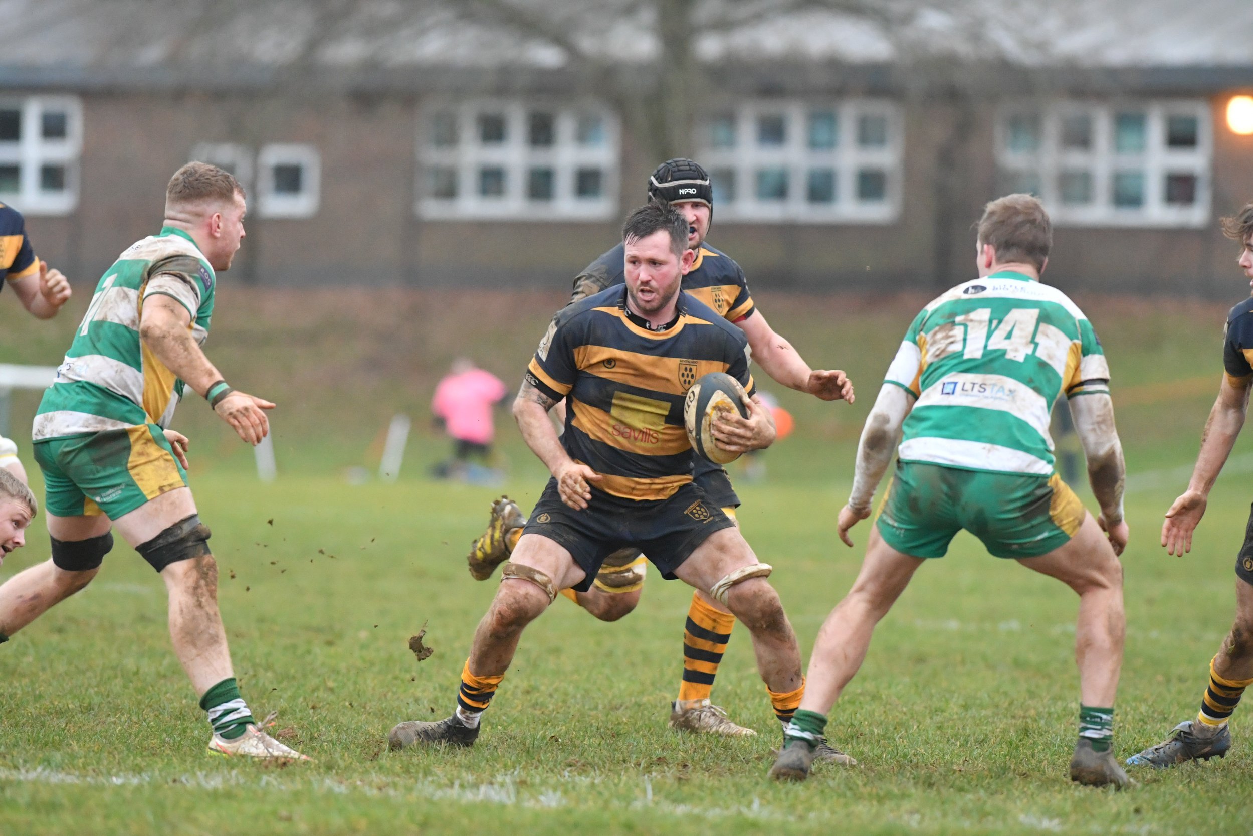 SEV V GUERNSEY-59.JPG