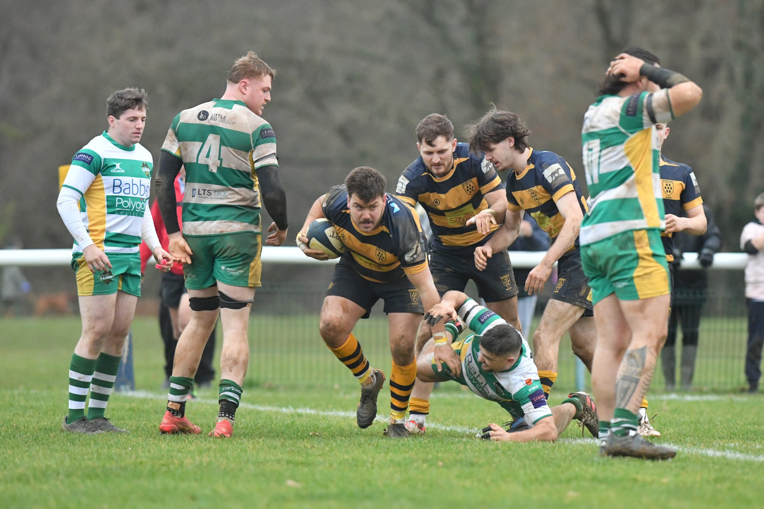 SEV V GUERNSEY-64.JPG