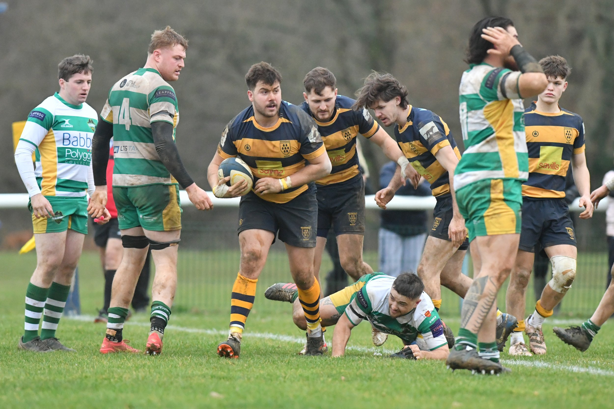 SEV V GUERNSEY-66.JPG