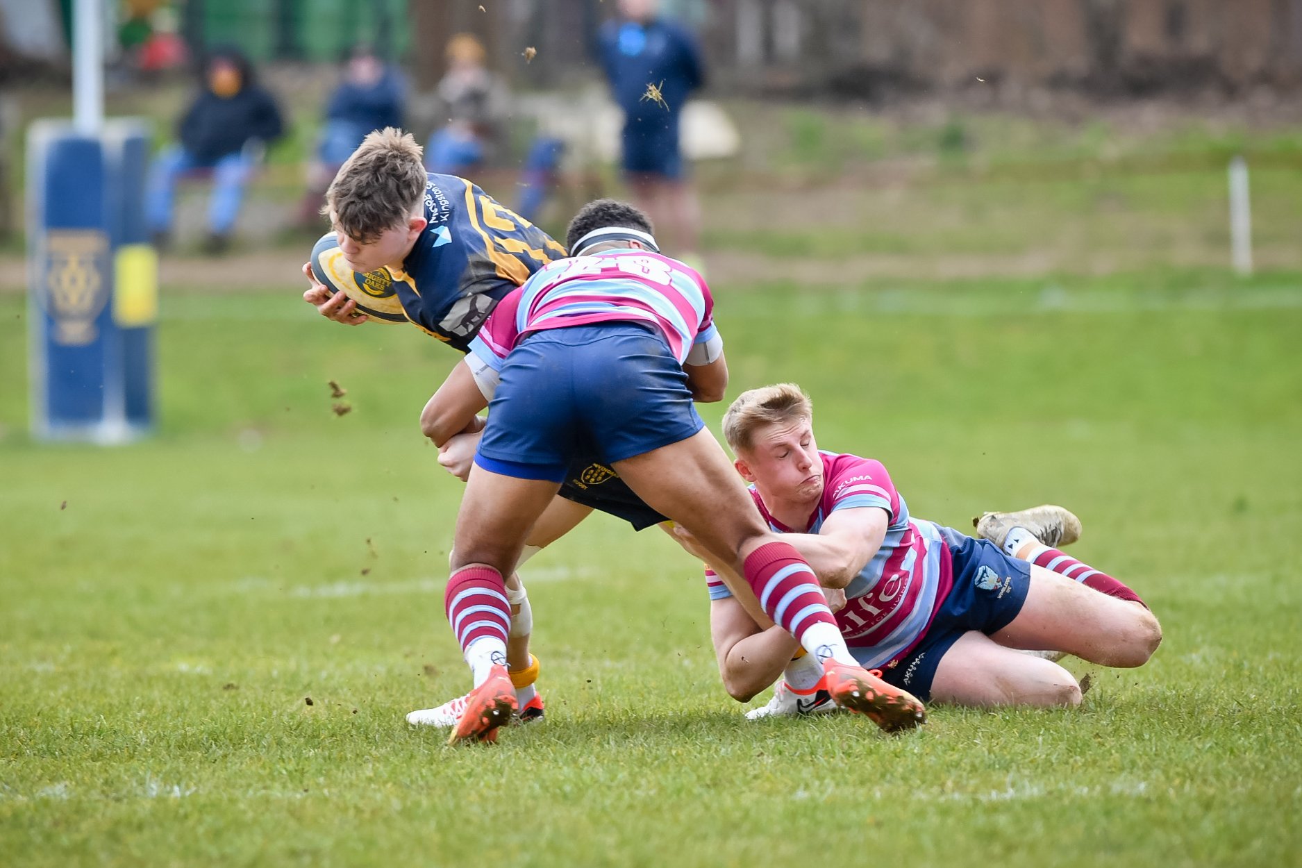 oaks v wiimbledon-15.JPG