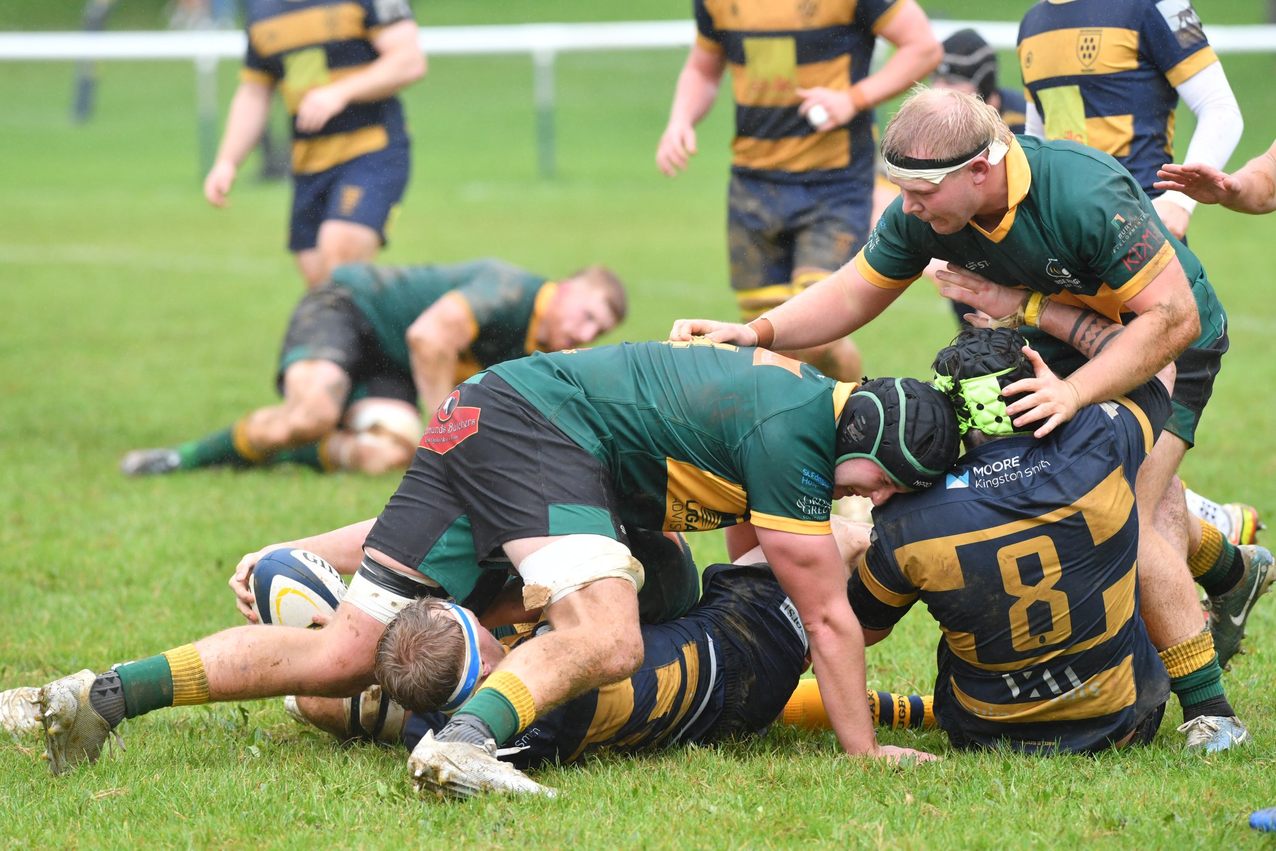 X OAKS V BSE-73.JPG