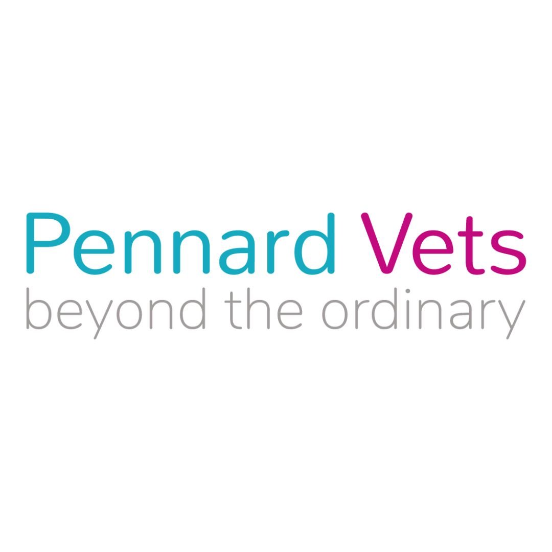 Pennard Vets Join the Sevenoaks RFC Family!