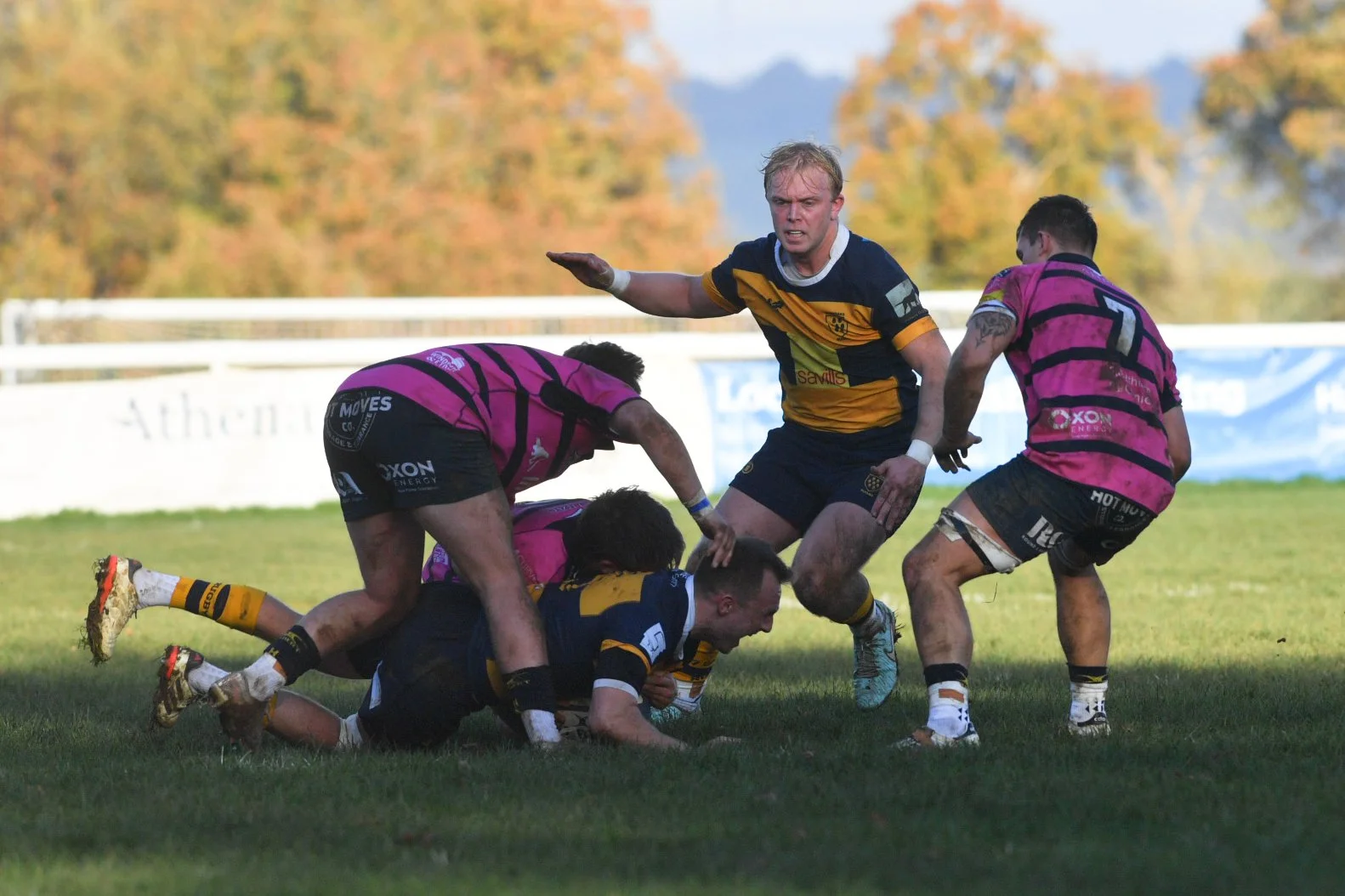 OAKS V HENLEY 8.11 (7).JPG