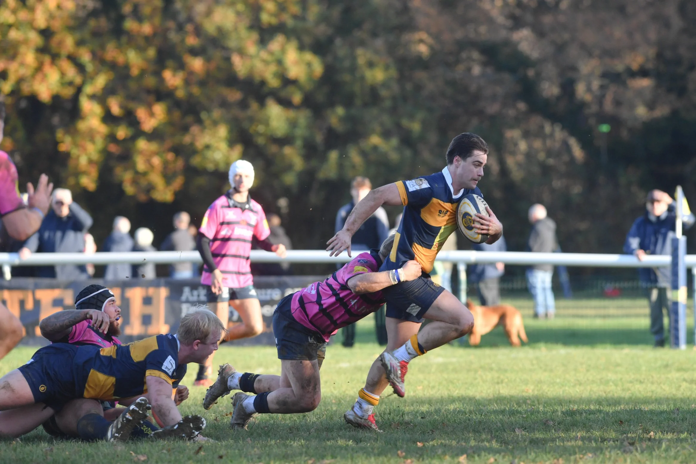 OAKS V HENLEY 8.11 (11).JPG