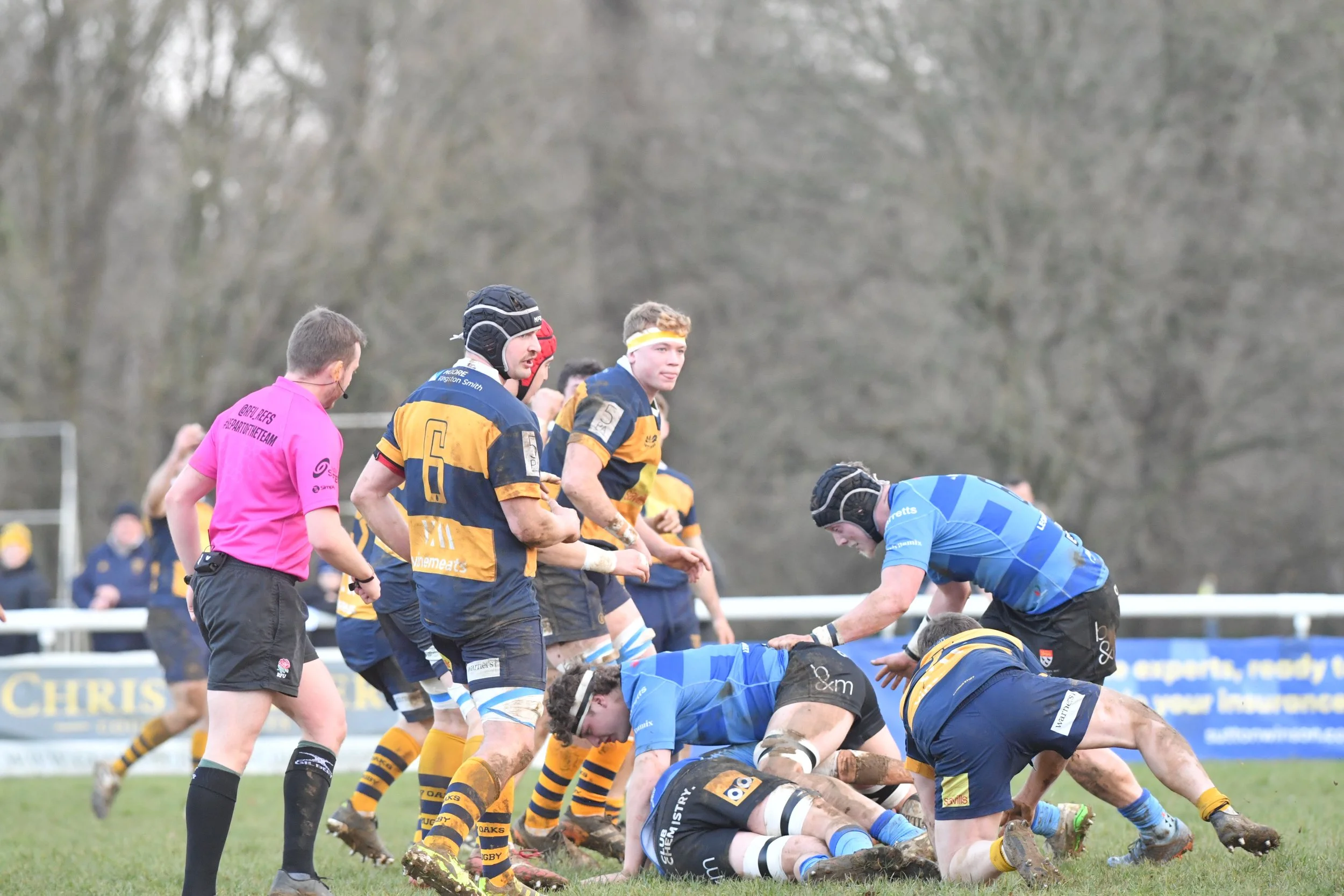 X OAKS V CANTERBURY31.JPG
