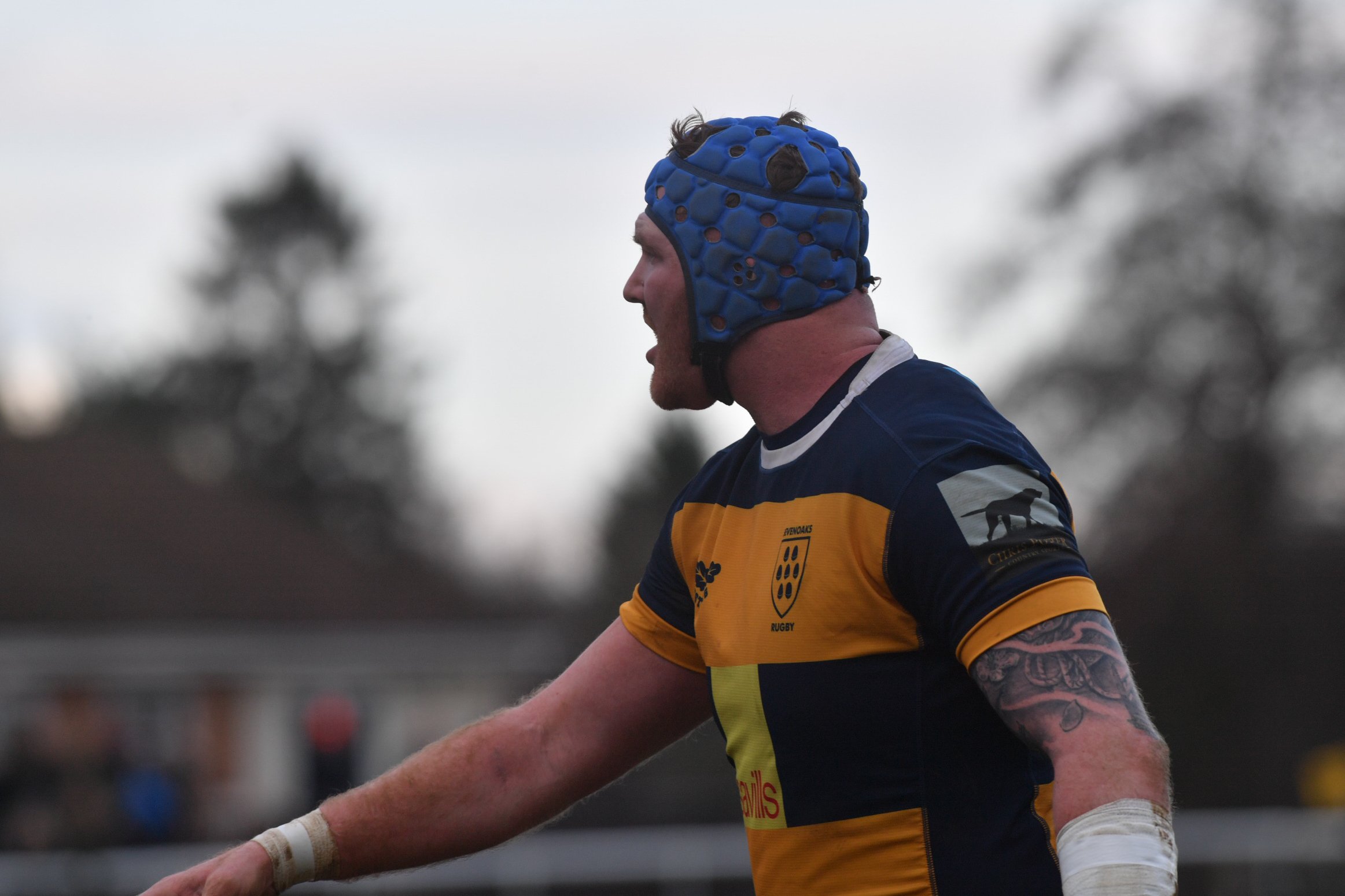 x OAKS V HAVENT-29.JPG