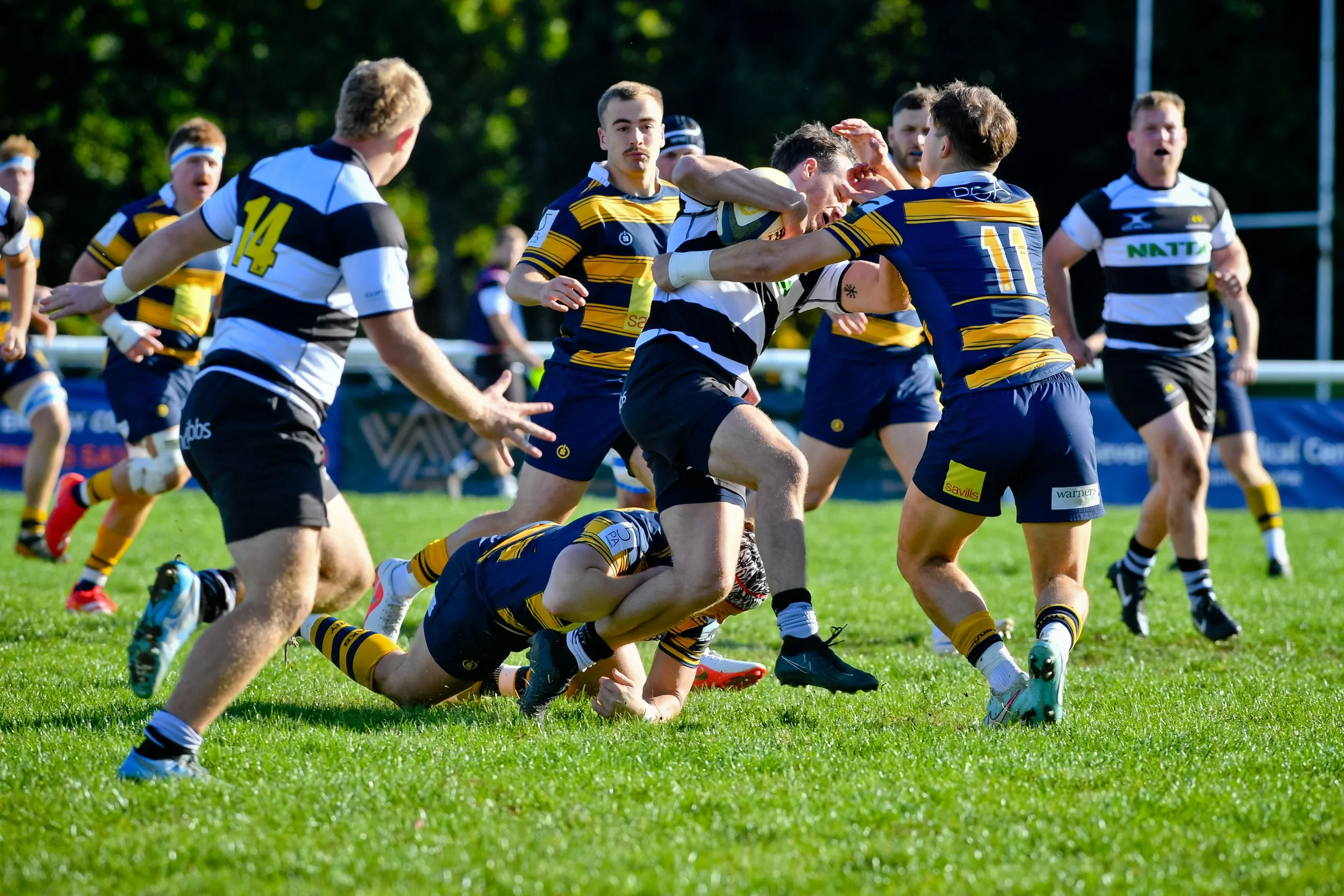 sevenoaks v Farnham-5.JPG