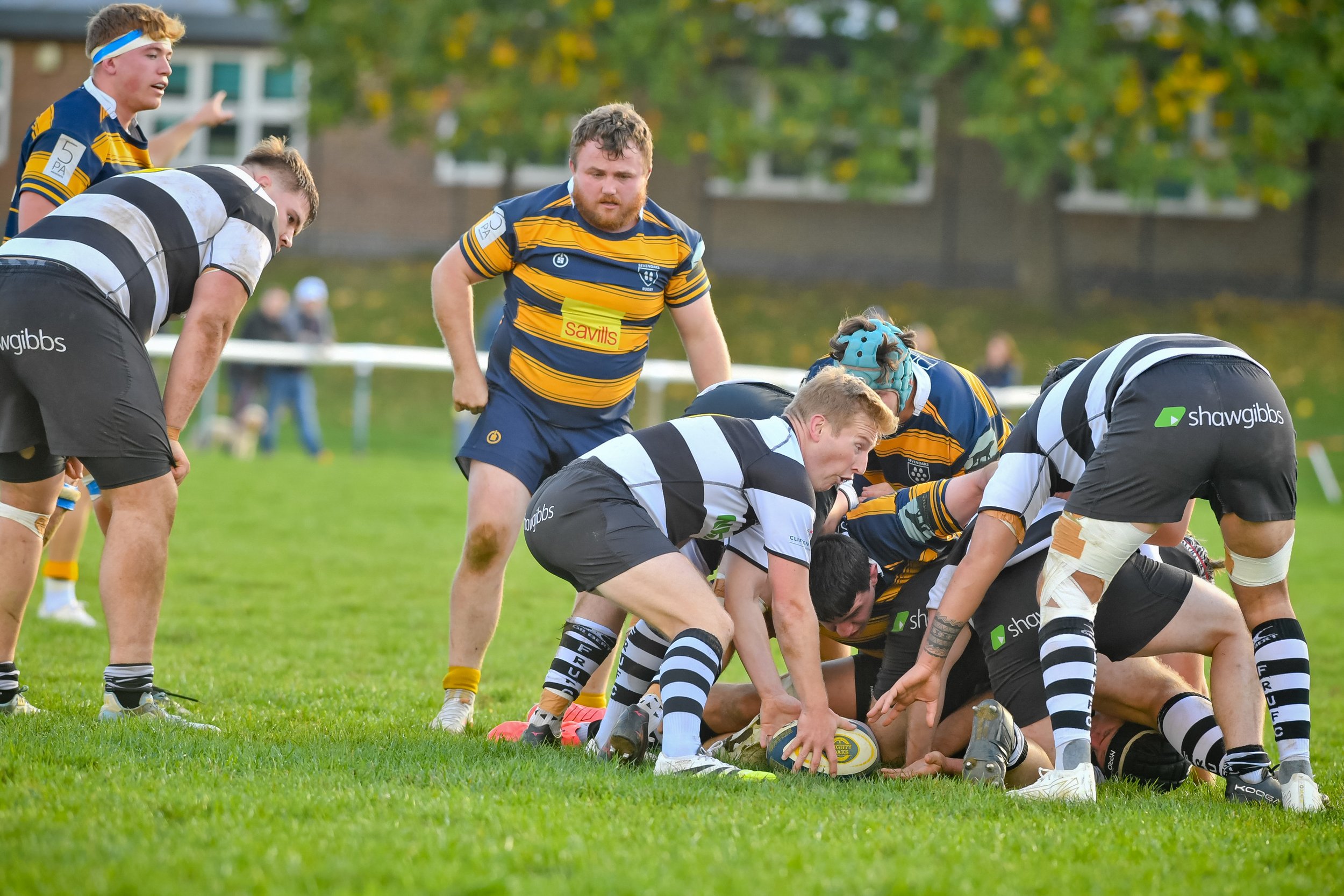 sevenoaks v Farnham-31.JPG