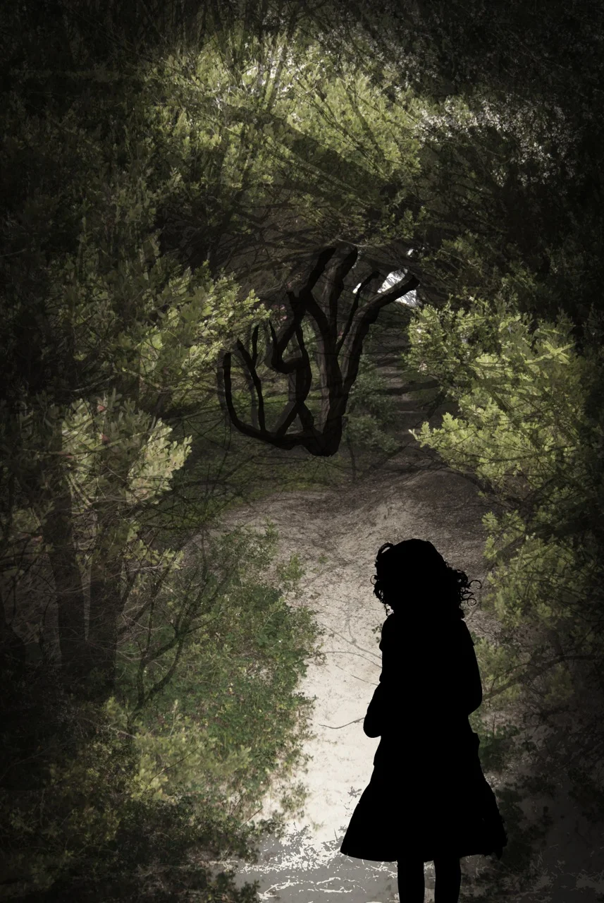 beach path.jpg