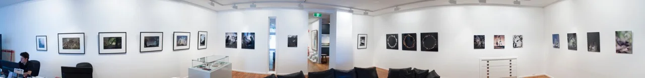 Ever After , at The Art Vault, Mildura.
