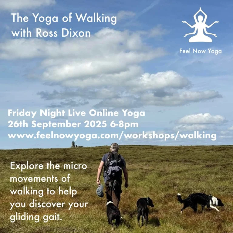 friday night walking ross.001.jpeg