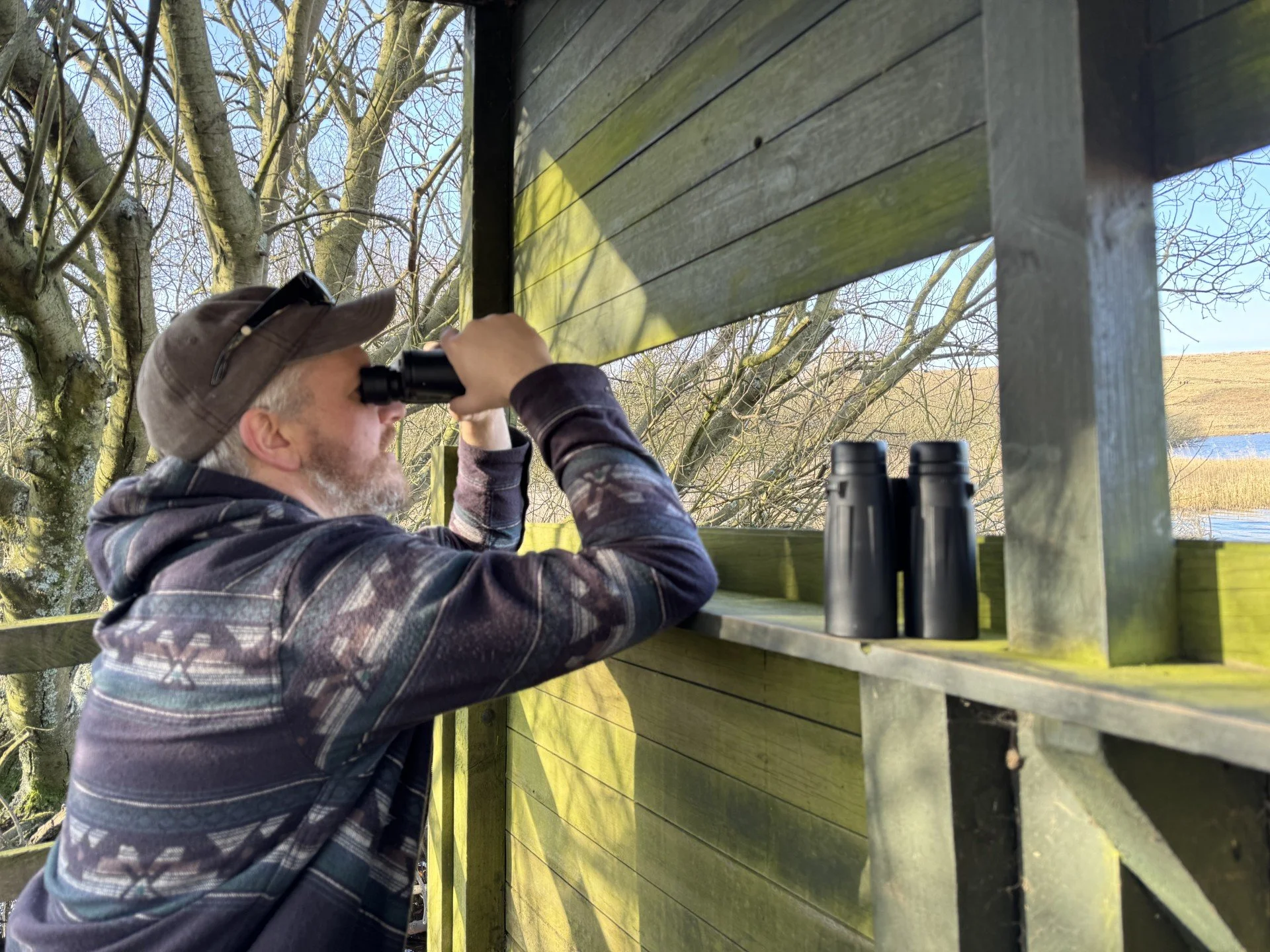 bird watching.jpeg